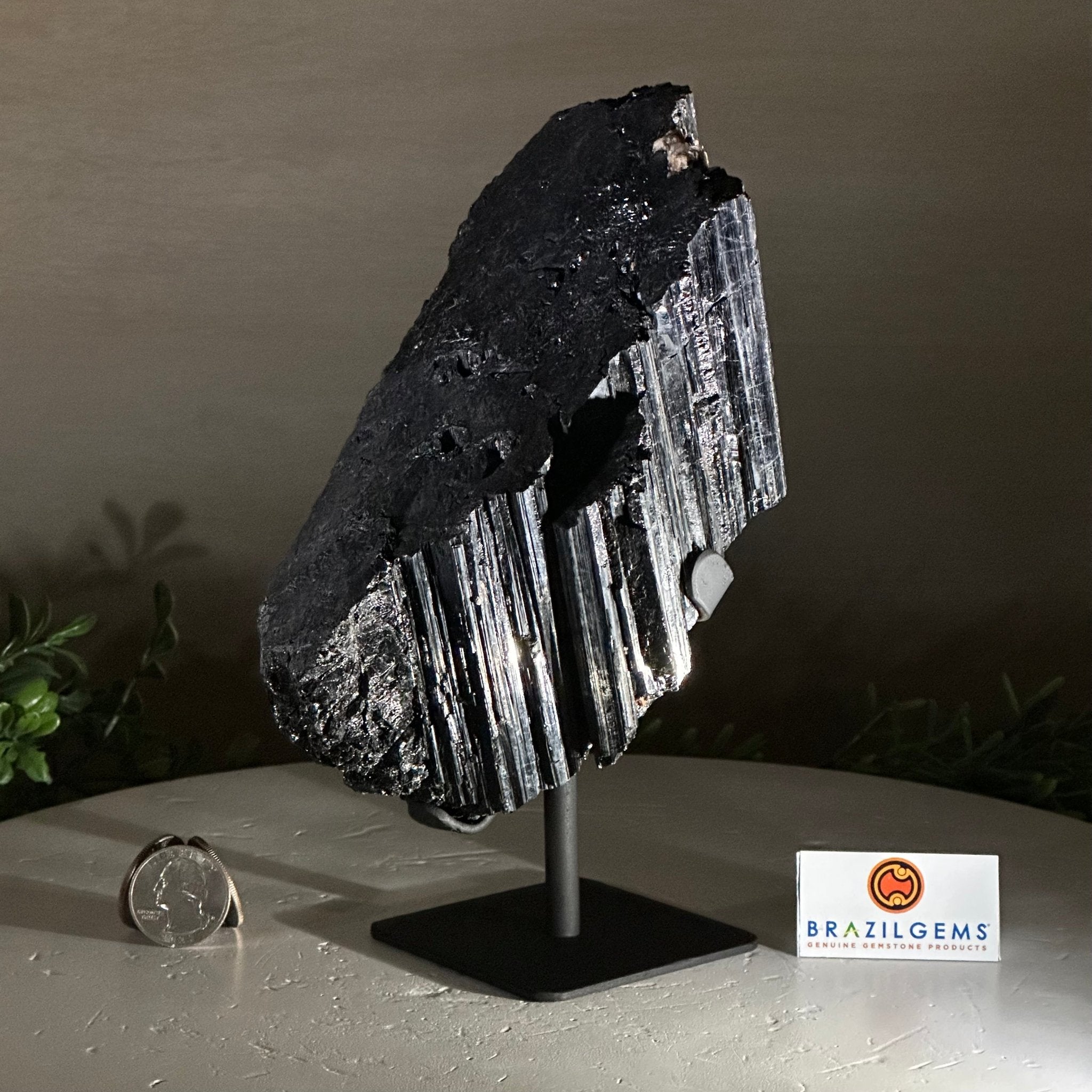 Black Tourmaline Cluster on a Metal Stand, 3.9 lbs and 7.8" Tall #6020 - 0004 - Brazil GemsBrazil GemsBlack Tourmaline Cluster on a Metal Stand, 3.9 lbs and 7.8" Tall #6020 - 0004Clusters on Wood Bases6020 - 0004