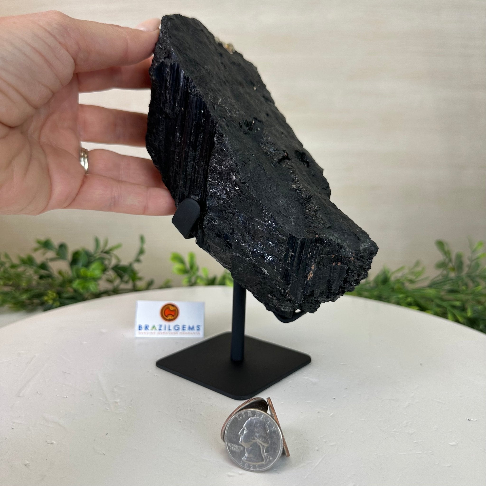 Black Tourmaline Cluster on a Metal Stand, 3.9 lbs and 7.8" Tall #6020 - 0004 - Brazil GemsBrazil GemsBlack Tourmaline Cluster on a Metal Stand, 3.9 lbs and 7.8" Tall #6020 - 0004Clusters on Wood Bases6020 - 0004