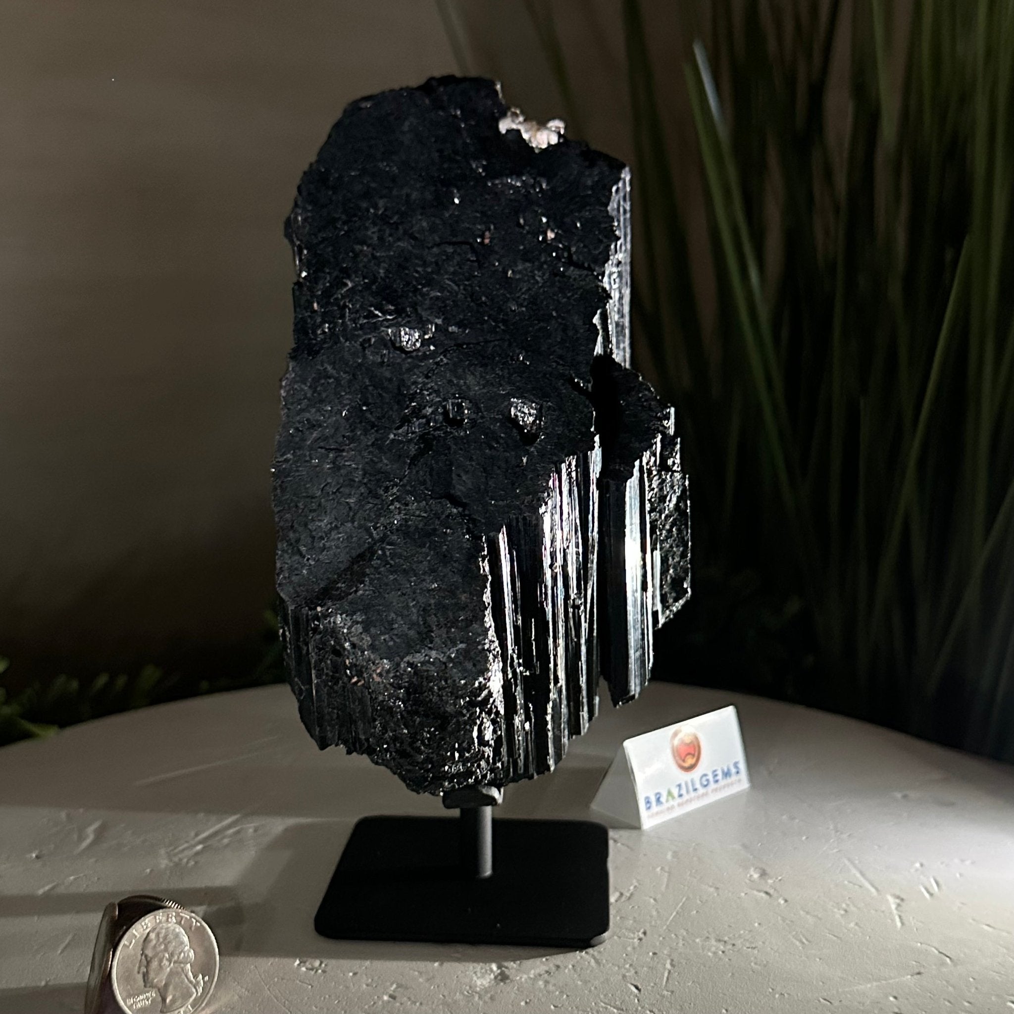 Black Tourmaline Cluster on a Metal Stand, 3.9 lbs and 7.8" Tall #6020 - 0004 - Brazil GemsBrazil GemsBlack Tourmaline Cluster on a Metal Stand, 3.9 lbs and 7.8" Tall #6020 - 0004Clusters on Wood Bases6020 - 0004