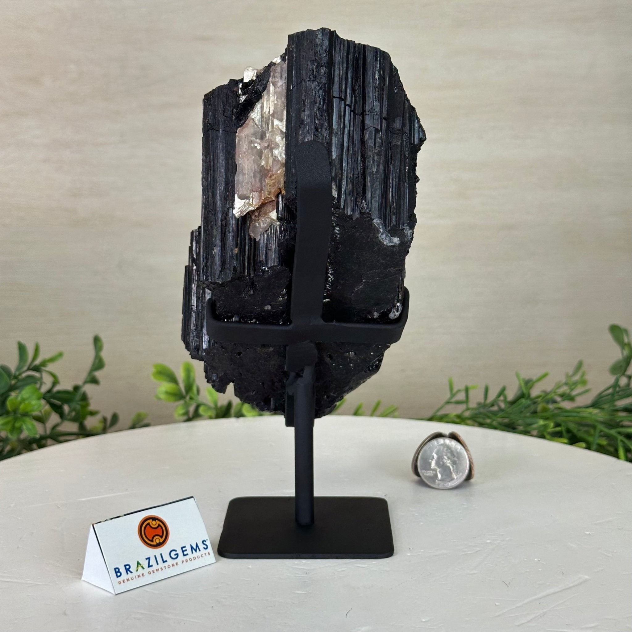 Black Tourmaline Cluster on a Metal Stand, 3.9 lbs and 7.8" Tall #6020 - 0004 - Brazil GemsBrazil GemsBlack Tourmaline Cluster on a Metal Stand, 3.9 lbs and 7.8" Tall #6020 - 0004Clusters on Wood Bases6020 - 0004