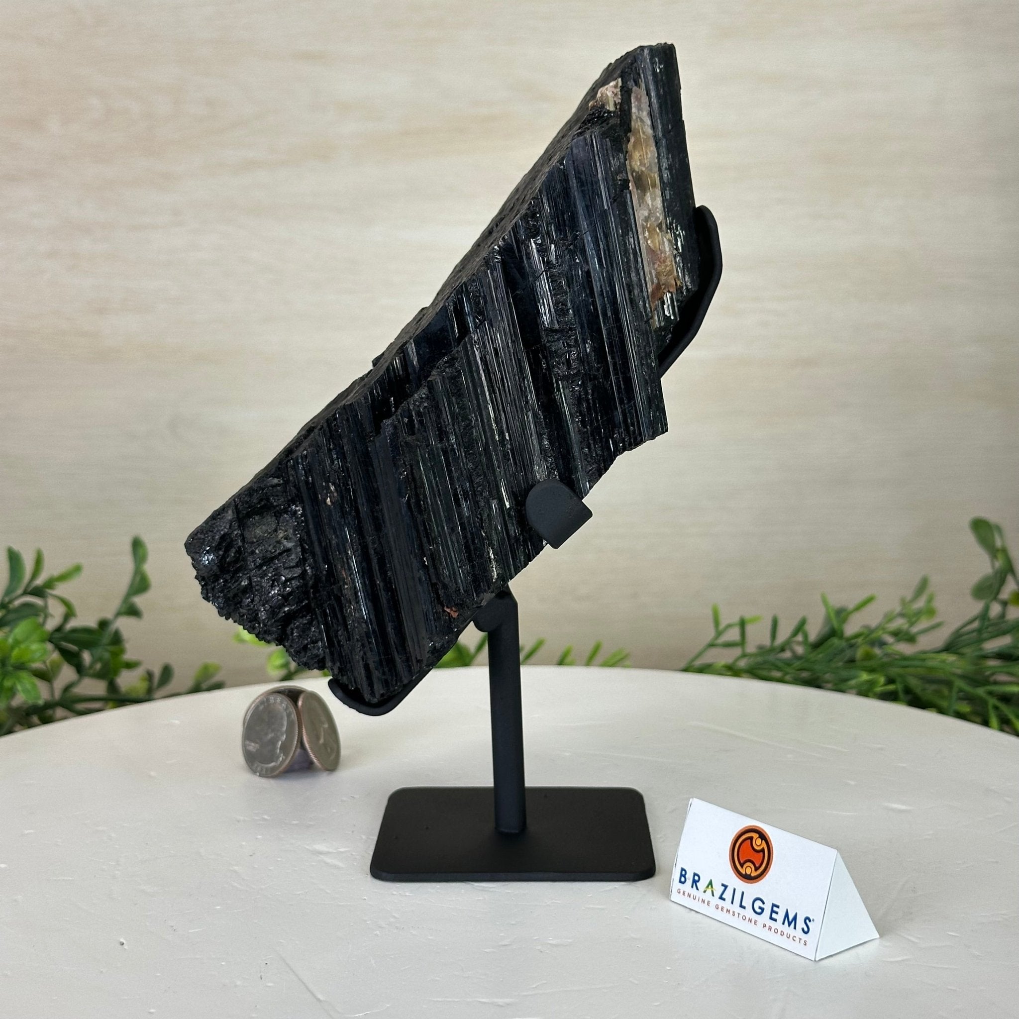 Black Tourmaline Cluster on a Metal Stand, 3.9 lbs and 7.8" Tall #6020 - 0004 - Brazil GemsBrazil GemsBlack Tourmaline Cluster on a Metal Stand, 3.9 lbs and 7.8" Tall #6020 - 0004Clusters on Wood Bases6020 - 0004