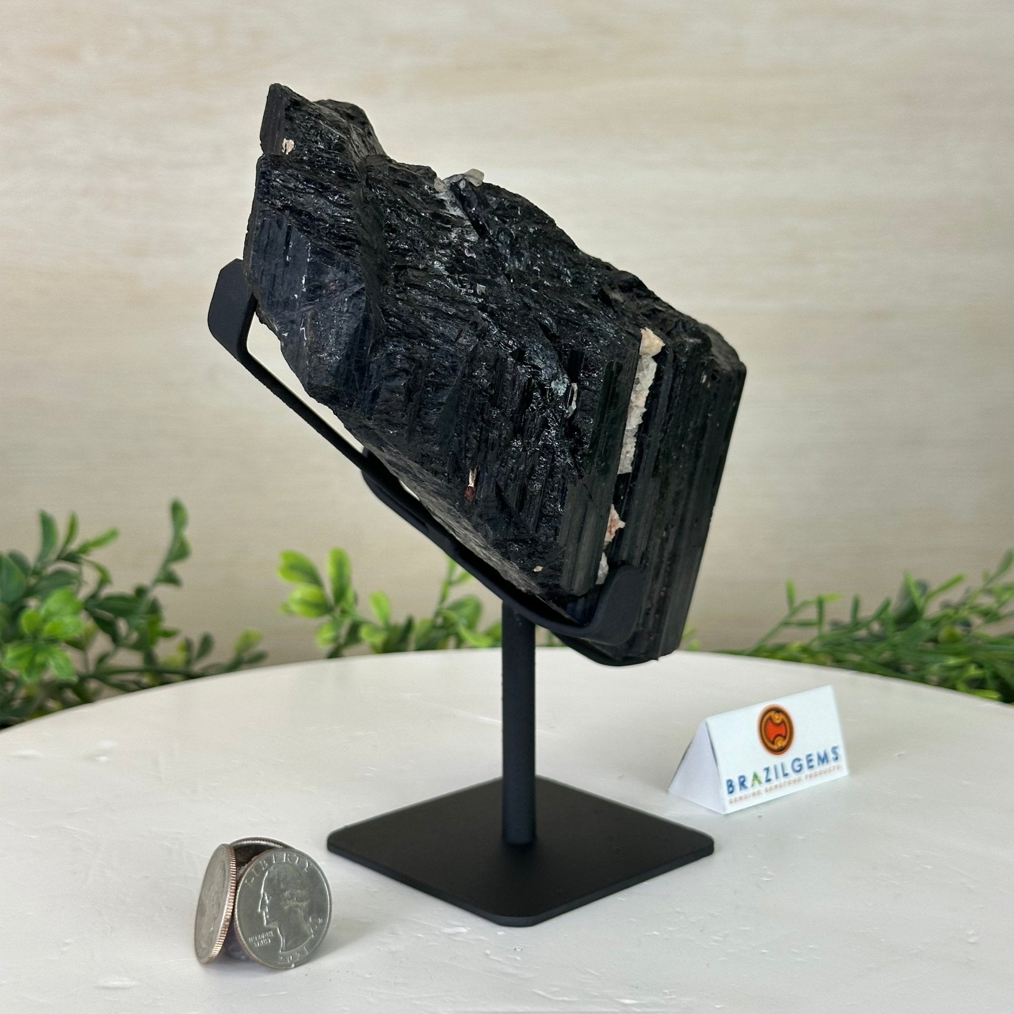 Black Tourmaline Cluster on a Metal Stand, 4.3 lbs and 7" Tall #6020 - 0005 - Brazil GemsBrazil GemsBlack Tourmaline Cluster on a Metal Stand, 4.3 lbs and 7" Tall #6020 - 0005Clusters on Wood Bases6020 - 0005