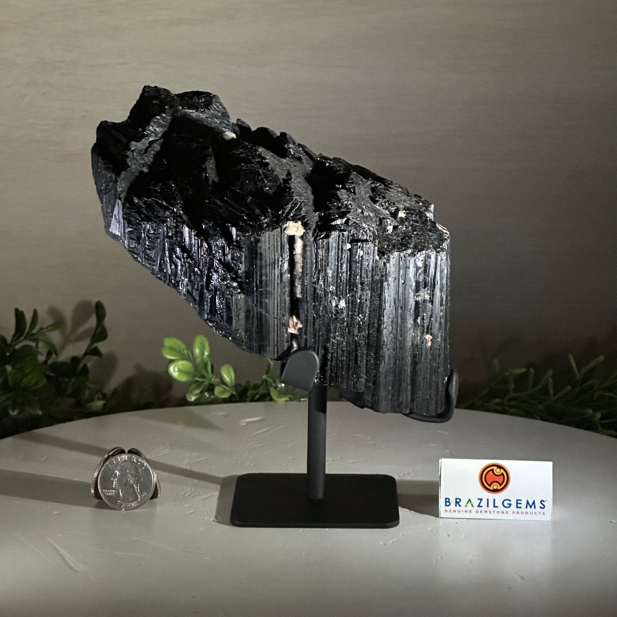 Black Tourmaline Cluster on a Metal Stand, 4.3 lbs and 7" Tall #6020 - 0005 - Brazil GemsBrazil GemsBlack Tourmaline Cluster on a Metal Stand, 4.3 lbs and 7" Tall #6020 - 0005Clusters on Wood Bases6020 - 0005