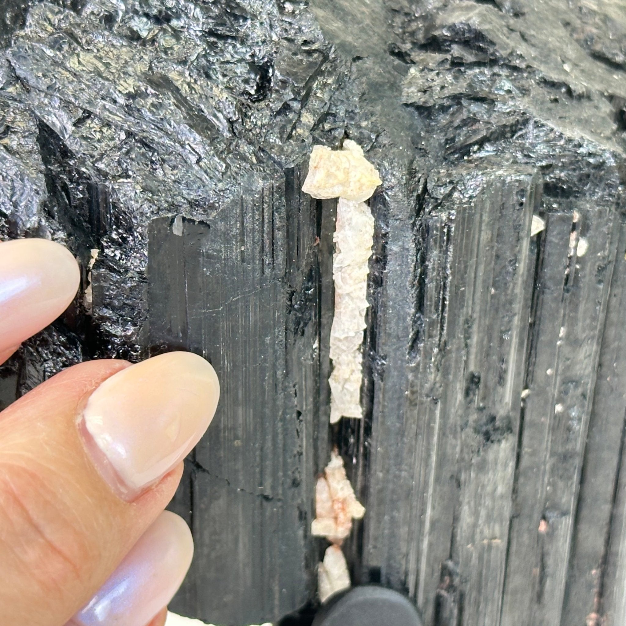 Black Tourmaline Cluster on a Metal Stand, 4.3 lbs and 7" Tall #6020 - 0005 - Brazil GemsBrazil GemsBlack Tourmaline Cluster on a Metal Stand, 4.3 lbs and 7" Tall #6020 - 0005Clusters on Wood Bases6020 - 0005