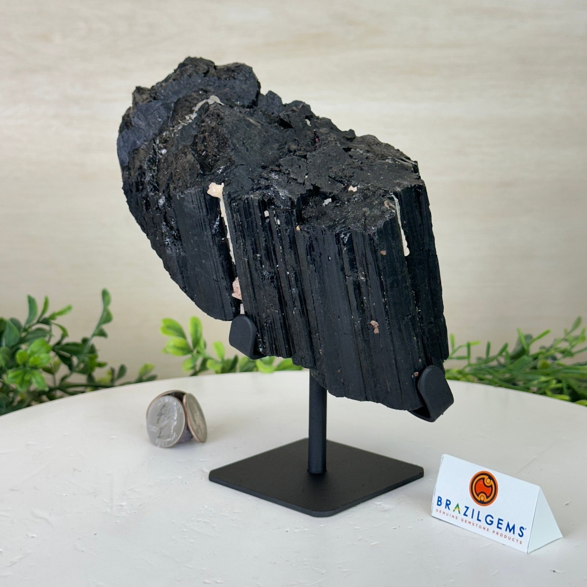 Black Tourmaline Cluster on a Metal Stand, 4.3 lbs and 7" Tall #6020 - 0005 - Brazil GemsBrazil GemsBlack Tourmaline Cluster on a Metal Stand, 4.3 lbs and 7" Tall #6020 - 0005Clusters on Wood Bases6020 - 0005