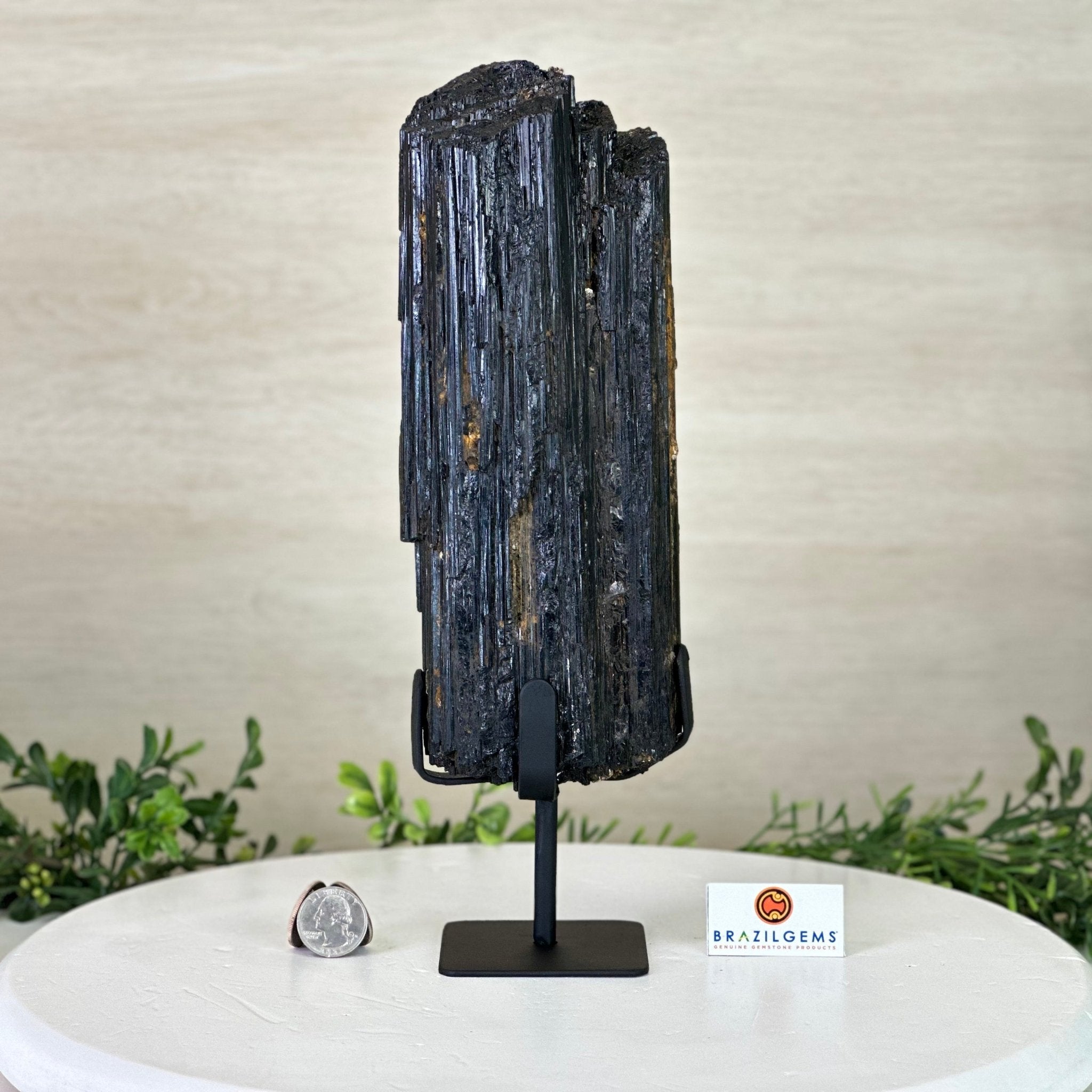 Black Tourmaline Cluster on a Metal Stand, 5.4 lbs and 12" Tall #6020 - 0006 - Brazil GemsBrazil GemsBlack Tourmaline Cluster on a Metal Stand, 5.4 lbs and 12" Tall #6020 - 0006Clusters on Wood Bases6020 - 0006