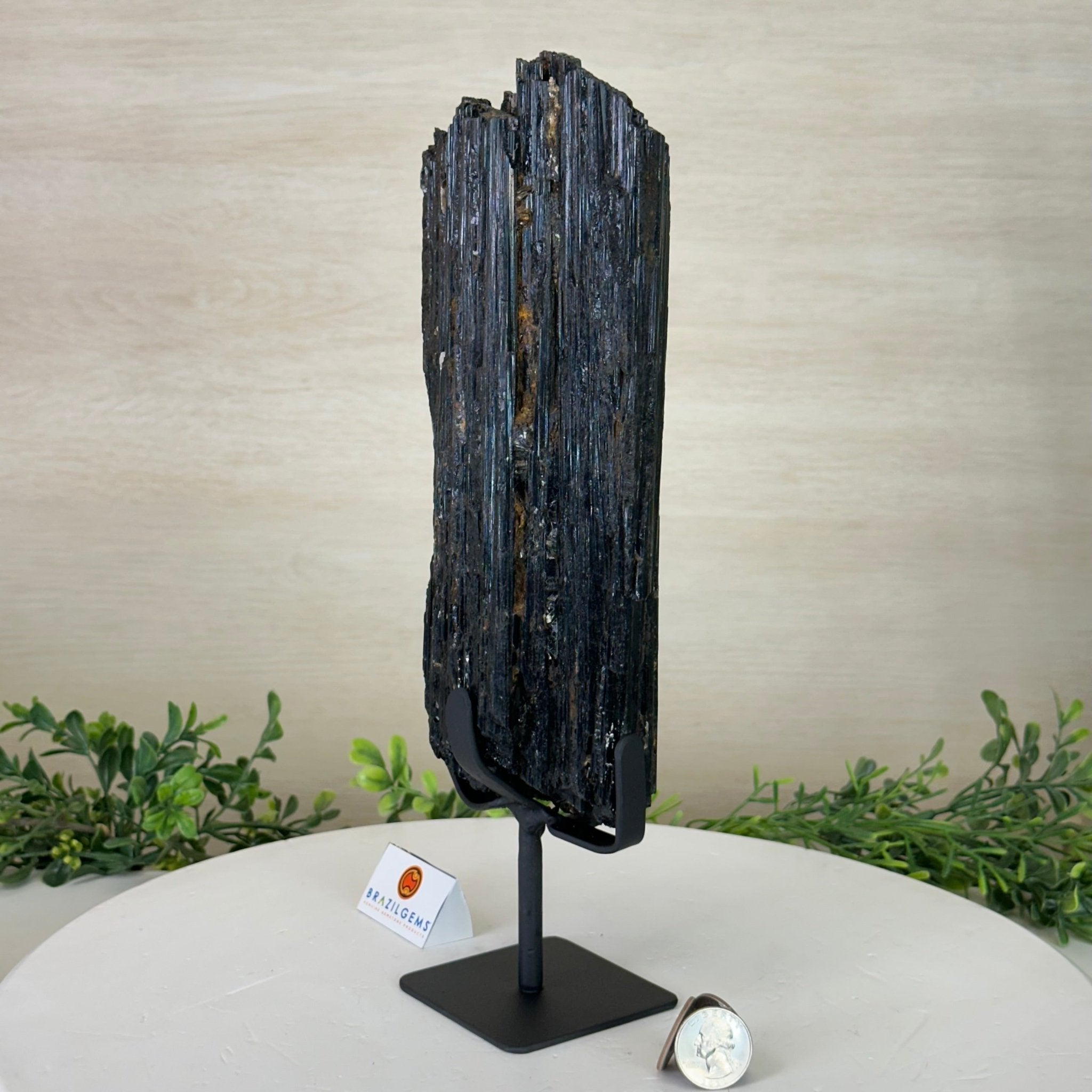 Black Tourmaline Cluster on a Metal Stand, 5.4 lbs and 12" Tall #6020 - 0006 - Brazil GemsBrazil GemsBlack Tourmaline Cluster on a Metal Stand, 5.4 lbs and 12" Tall #6020 - 0006Clusters on Wood Bases6020 - 0006