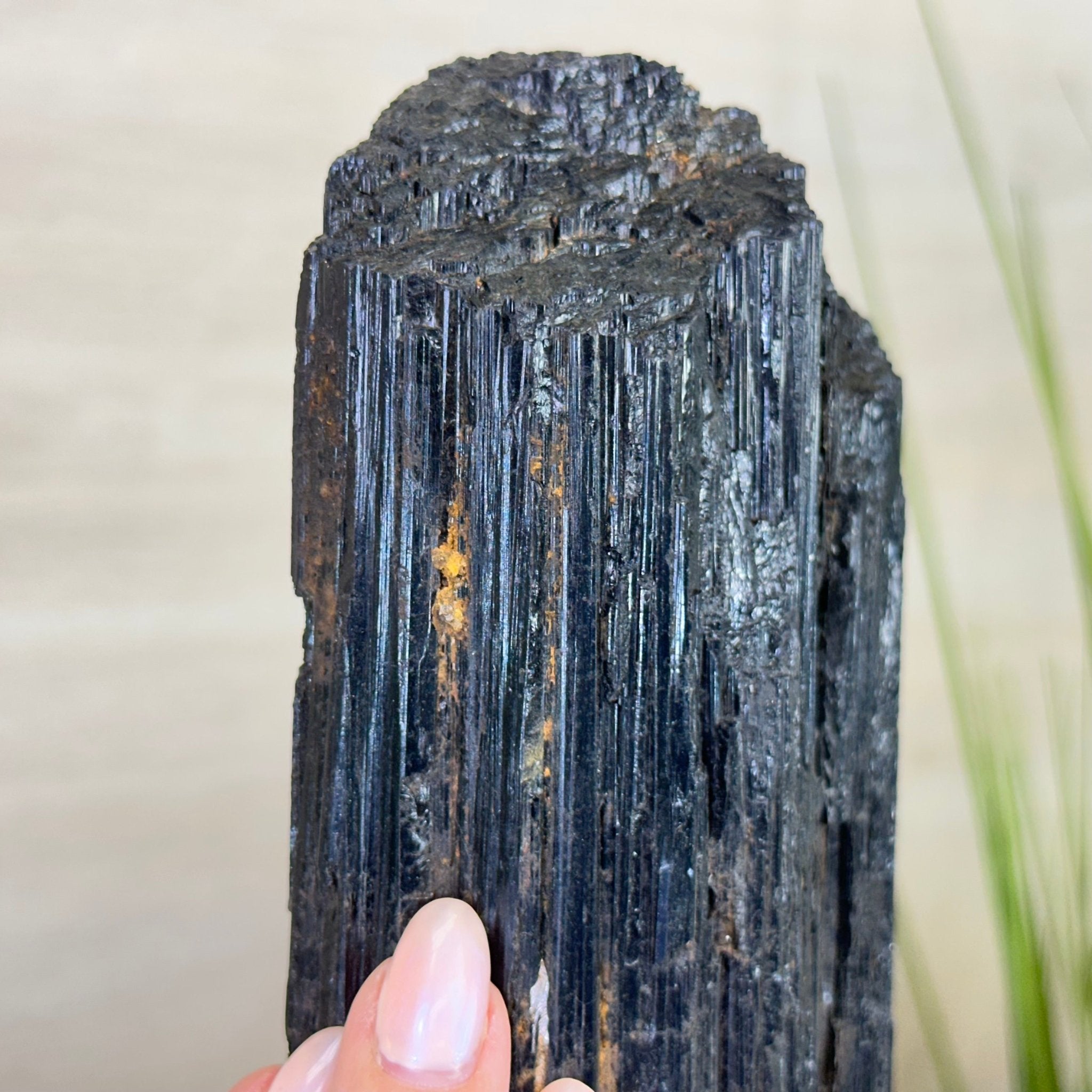 Black Tourmaline Cluster on a Metal Stand, 5.4 lbs and 12" Tall #6020 - 0006 - Brazil GemsBrazil GemsBlack Tourmaline Cluster on a Metal Stand, 5.4 lbs and 12" Tall #6020 - 0006Clusters on Wood Bases6020 - 0006