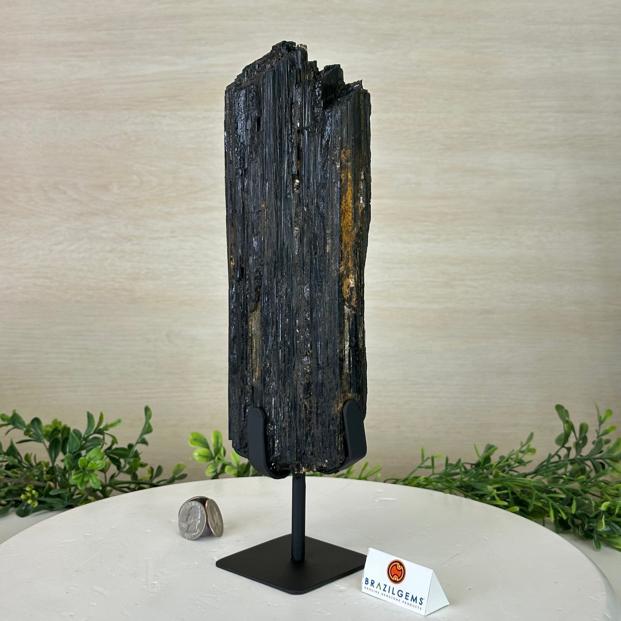 Black Tourmaline Cluster on a Metal Stand, 5.4 lbs and 12" Tall #6020 - 0006 - Brazil GemsBrazil GemsBlack Tourmaline Cluster on a Metal Stand, 5.4 lbs and 12" Tall #6020 - 0006Clusters on Wood Bases6020 - 0006