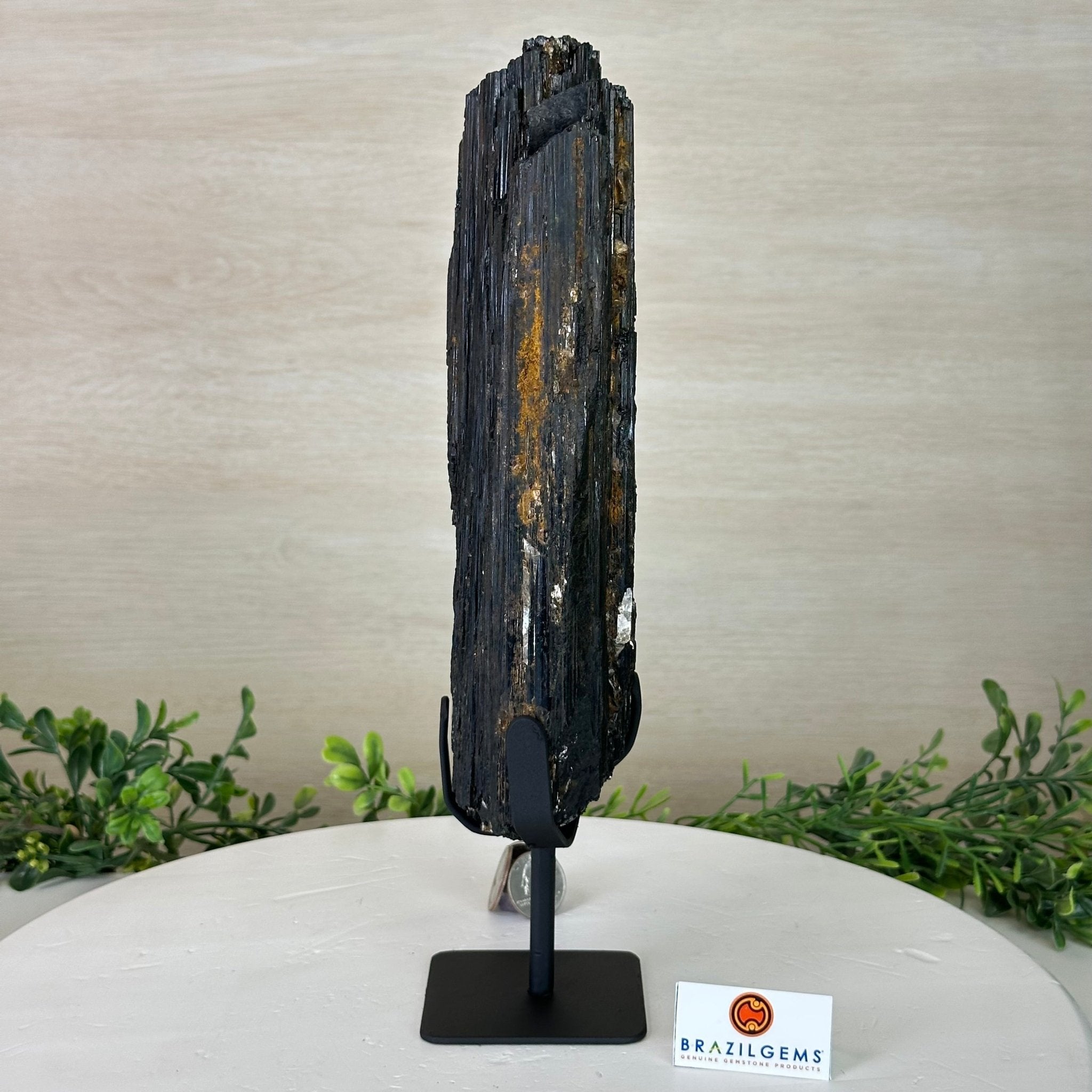 Black Tourmaline Cluster on a Metal Stand, 5.4 lbs and 12" Tall #6020 - 0006 - Brazil GemsBrazil GemsBlack Tourmaline Cluster on a Metal Stand, 5.4 lbs and 12" Tall #6020 - 0006Clusters on Wood Bases6020 - 0006