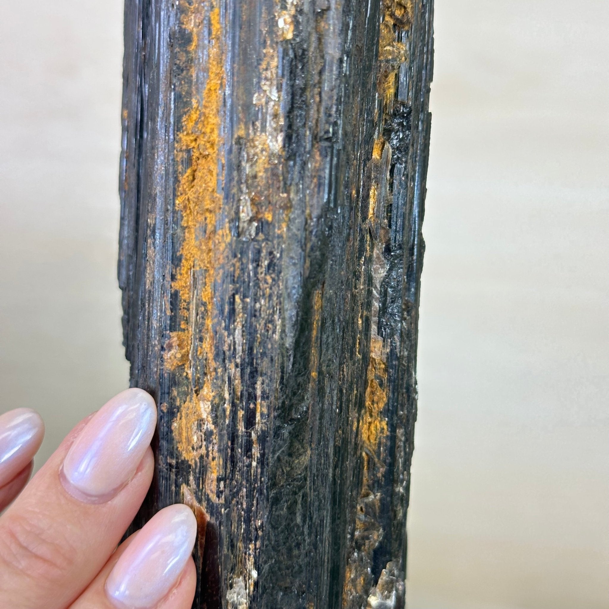 Black Tourmaline Cluster on a Metal Stand, 5.4 lbs and 12" Tall #6020 - 0006 - Brazil GemsBrazil GemsBlack Tourmaline Cluster on a Metal Stand, 5.4 lbs and 12" Tall #6020 - 0006Clusters on Wood Bases6020 - 0006