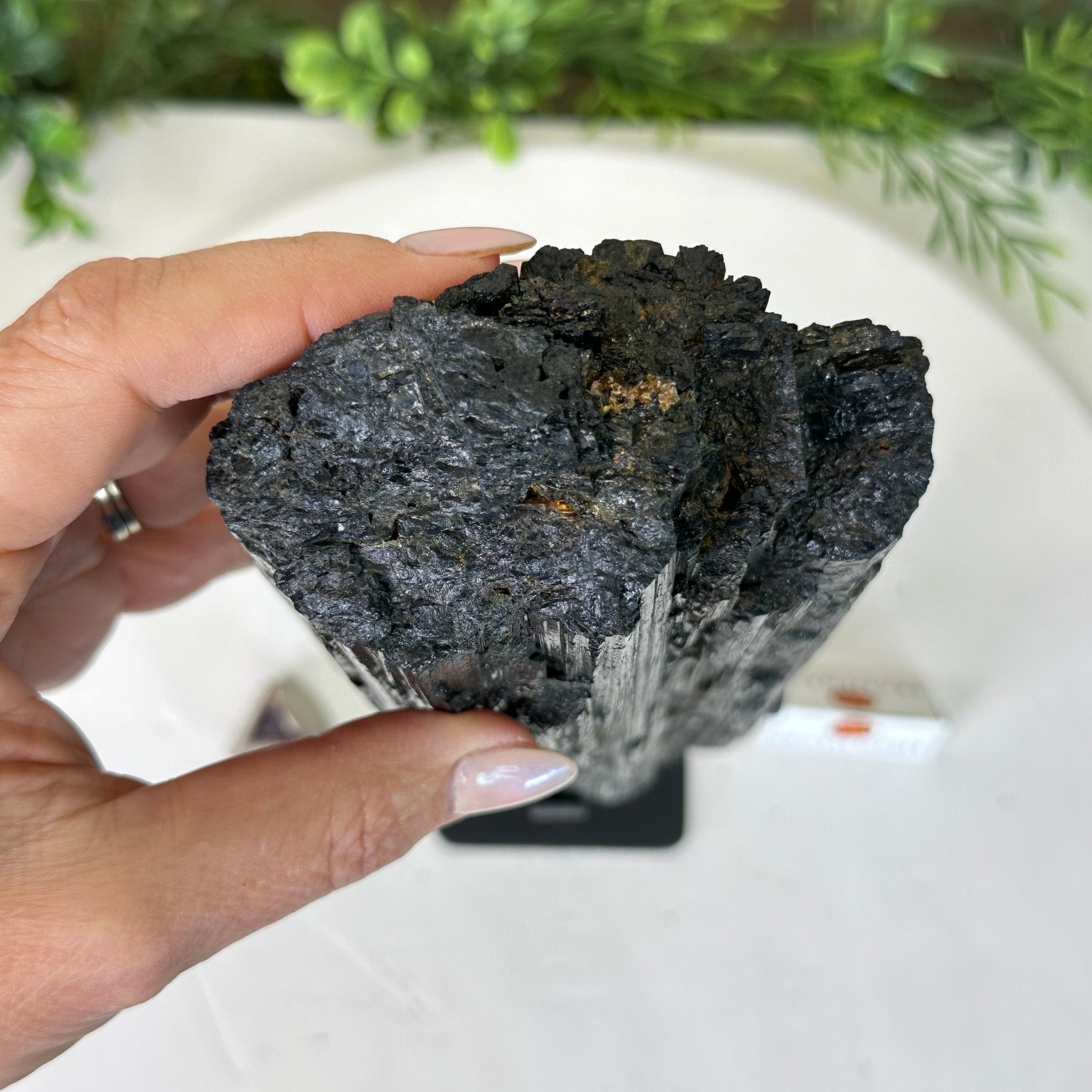 Black Tourmaline Cluster on a Metal Stand, 5.4 lbs and 12" Tall #6020 - 0006 - Brazil GemsBrazil GemsBlack Tourmaline Cluster on a Metal Stand, 5.4 lbs and 12" Tall #6020 - 0006Clusters on Wood Bases6020 - 0006