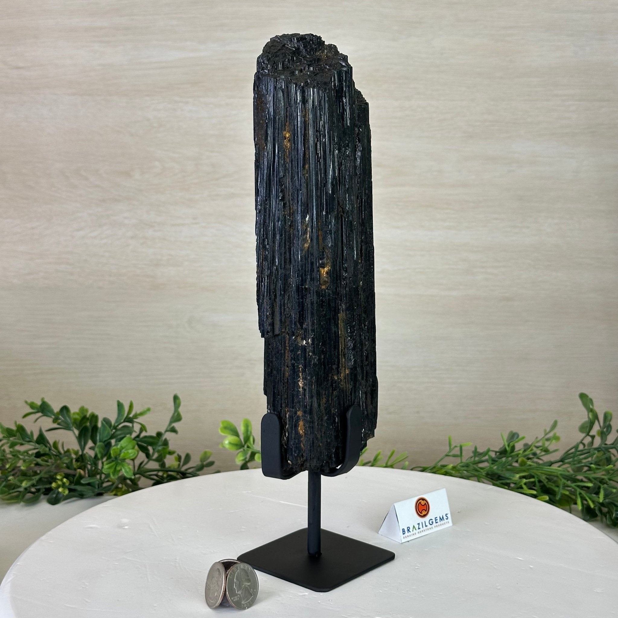 Black Tourmaline Cluster on a Metal Stand, 5.4 lbs and 12" Tall #6020 - 0006 - Brazil GemsBrazil GemsBlack Tourmaline Cluster on a Metal Stand, 5.4 lbs and 12" Tall #6020 - 0006Clusters on Wood Bases6020 - 0006