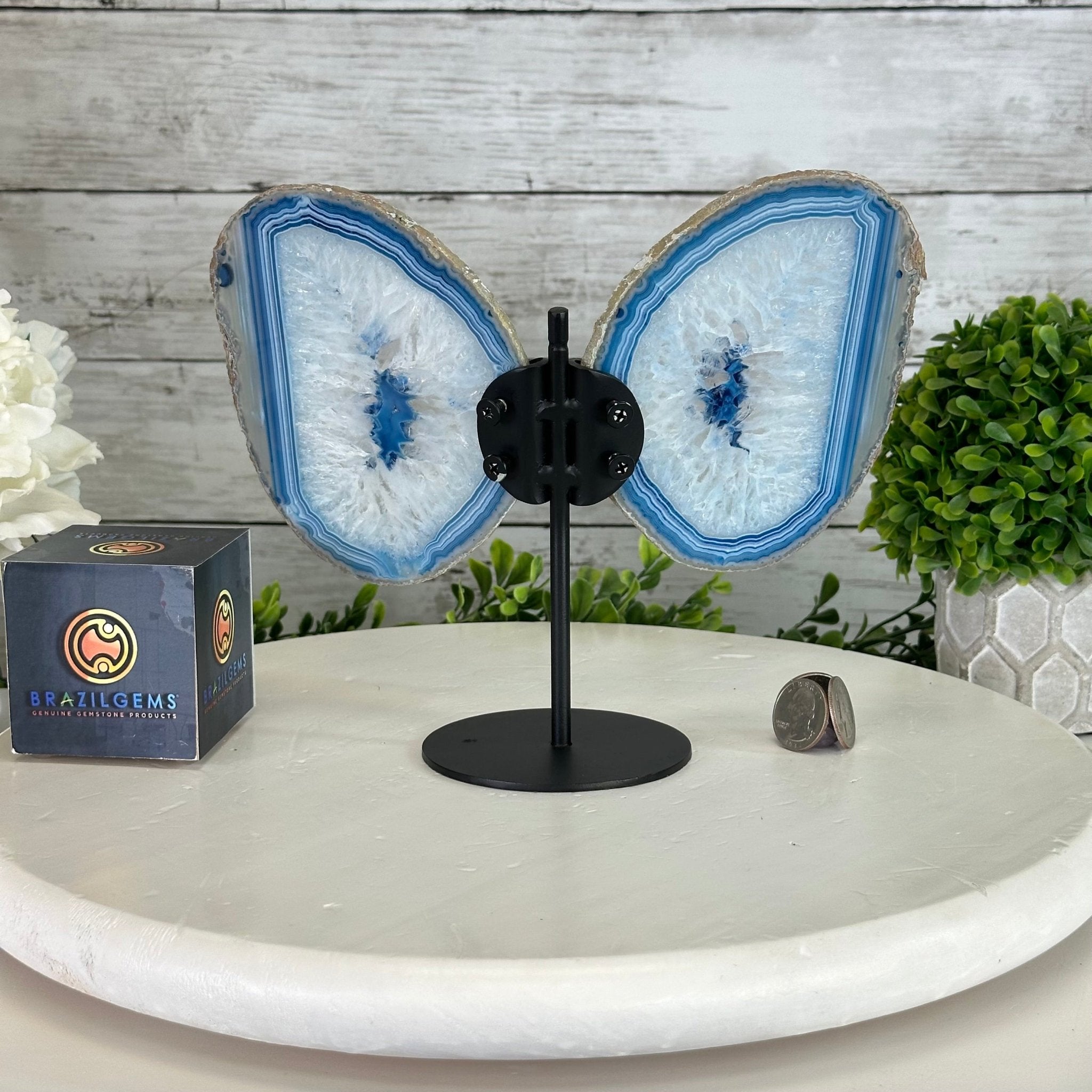 Blue Agate "Butterfly Wings" on stand, 7.2" Tall #5050BL-067 - Brazil GemsBrazil GemsBlue Agate "Butterfly Wings" on stand, 7.2" Tall #5050BL-067Agate Butterfly Wings5050BL-067