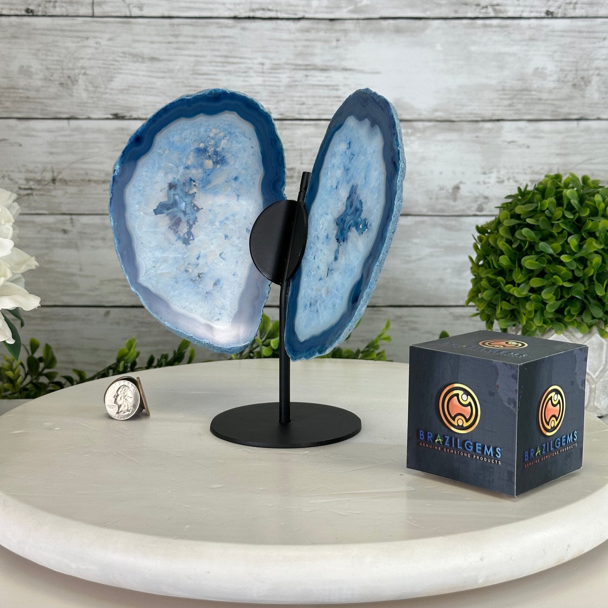 Blue Agate "Butterfly Wings" on stand, 7.5" Tall #5050BL-068 - Brazil GemsBrazil GemsBlue Agate "Butterfly Wings" on stand, 7.5" Tall #5050BL-068Agate Butterfly Wings5050BL-068