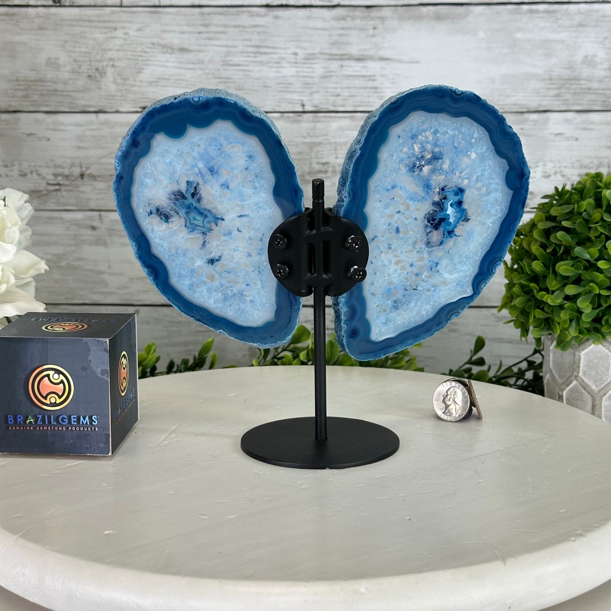 Blue Agate "Butterfly Wings" on stand, 7.5" Tall #5050BL-068 - Brazil GemsBrazil GemsBlue Agate "Butterfly Wings" on stand, 7.5" Tall #5050BL-068Agate Butterfly Wings5050BL-068