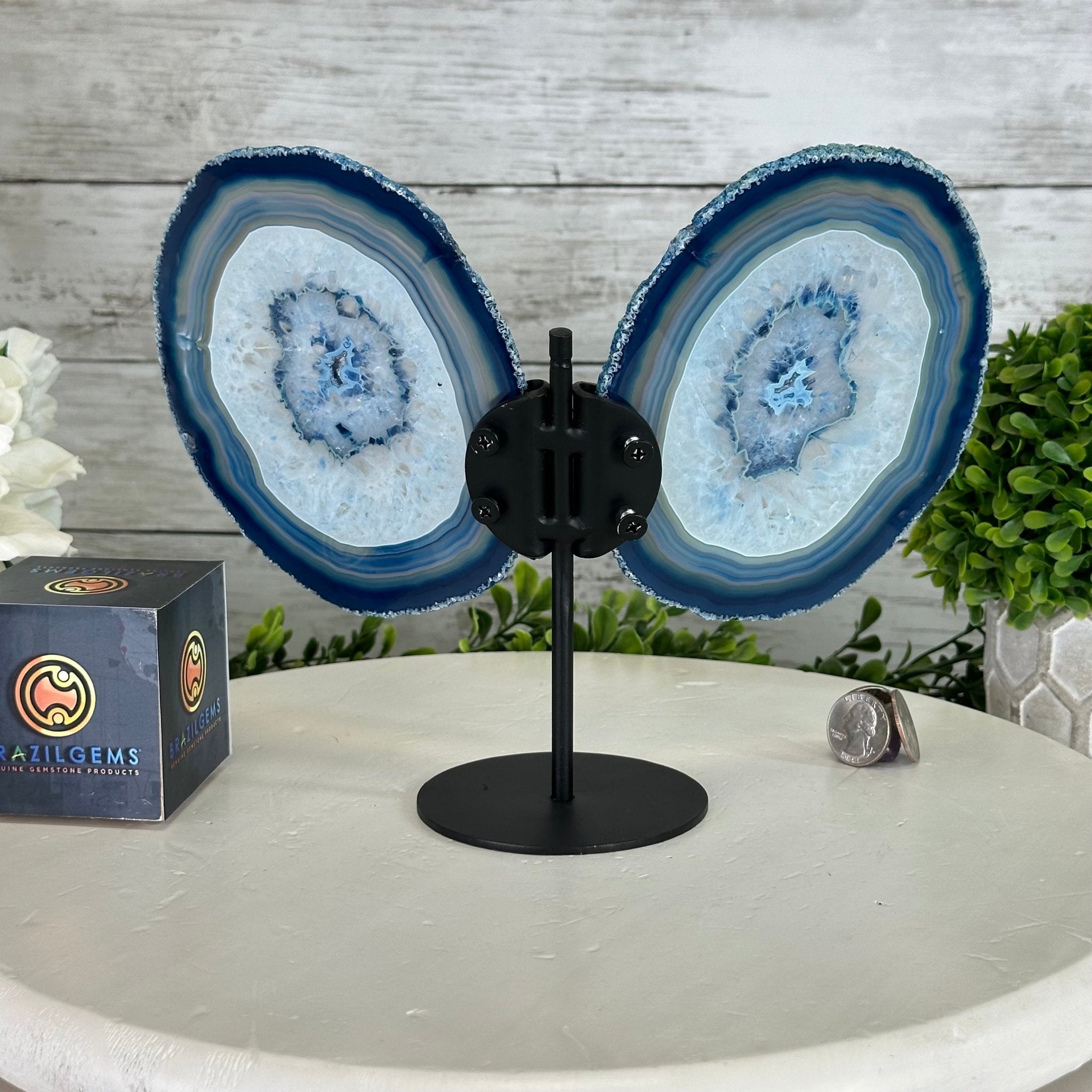 Blue Agate "Butterfly Wings" on stand, 7.5" Tall #5050BL-069 - Brazil GemsBrazil GemsBlue Agate "Butterfly Wings" on stand, 7.5" Tall #5050BL-069Agate Butterfly Wings5050BL-069