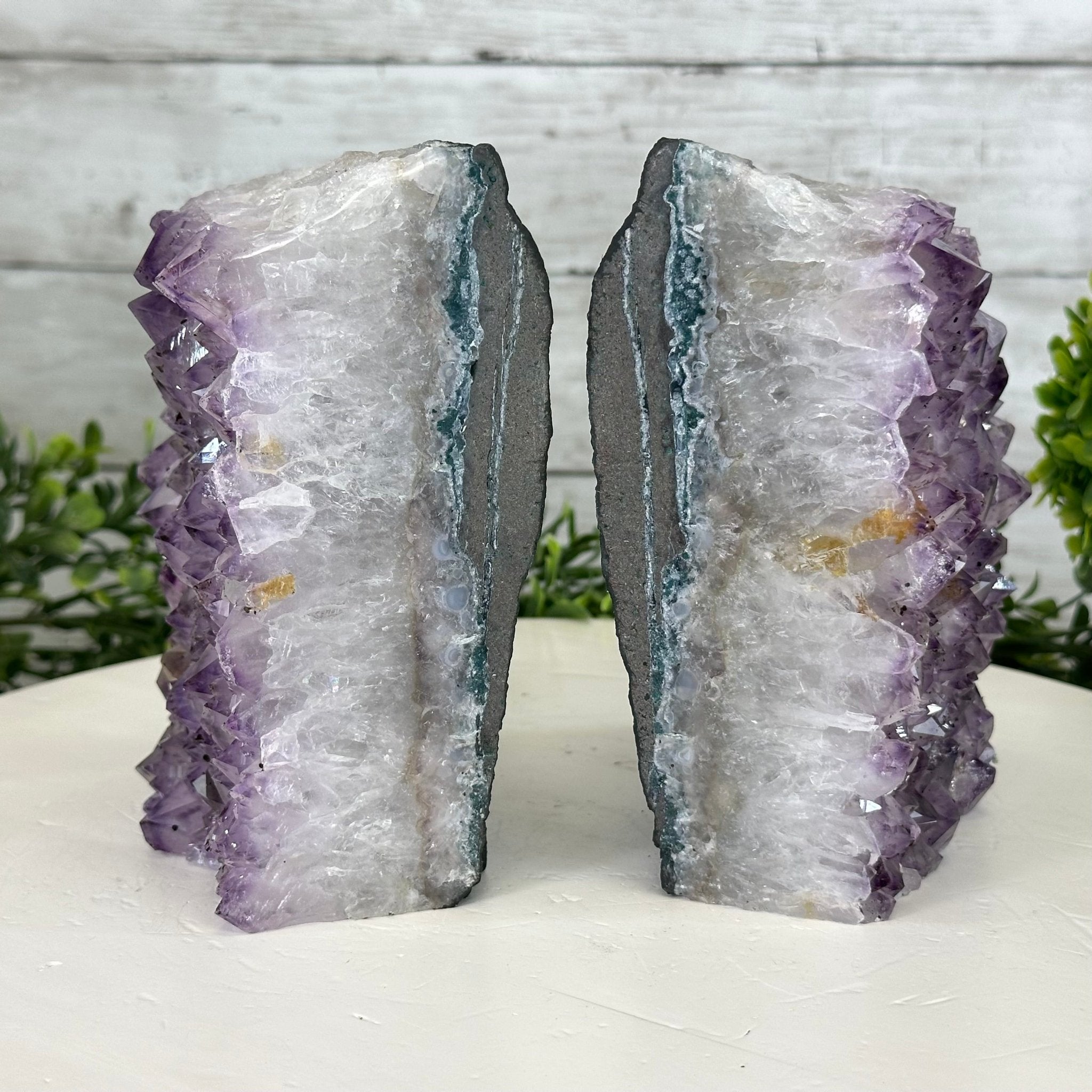 Brazilian Amethyst Crystal Bookends, 10.3 lbs & 6" Tall #5151AM-032 - Brazil GemsBrazil GemsBrazilian Amethyst Crystal Bookends, 10.3 lbs & 6" Tall #5151AM-032Bookends5151AM-032