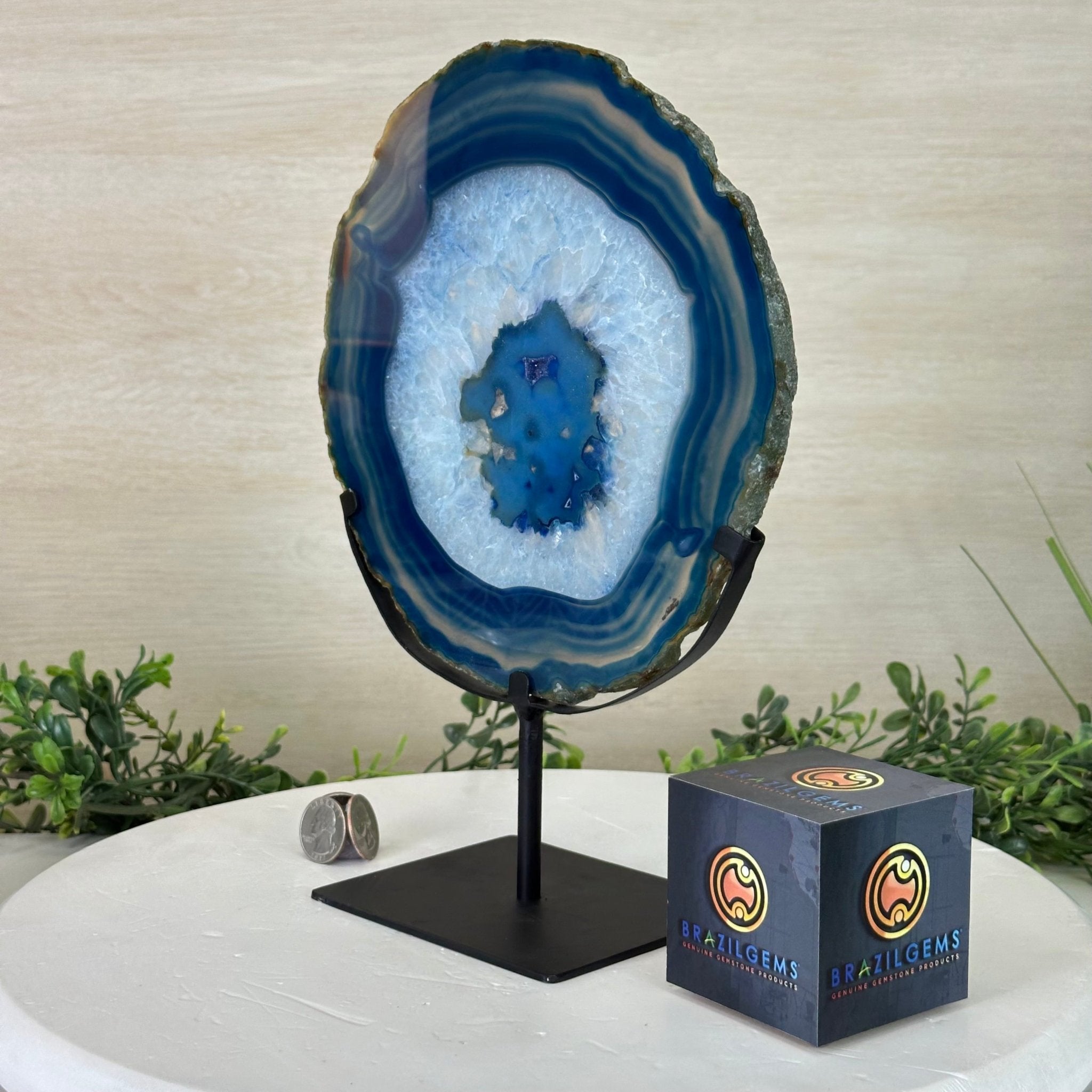 Brazilian Blue Agate Slice on a Metal Stand, 11.5" Tall #5055 - 0148 - Brazil GemsBrazil GemsBrazilian Blue Agate Slice on a Metal Stand, 11.5" Tall #5055 - 0148Slices on Fixed Bases5055 - 0148