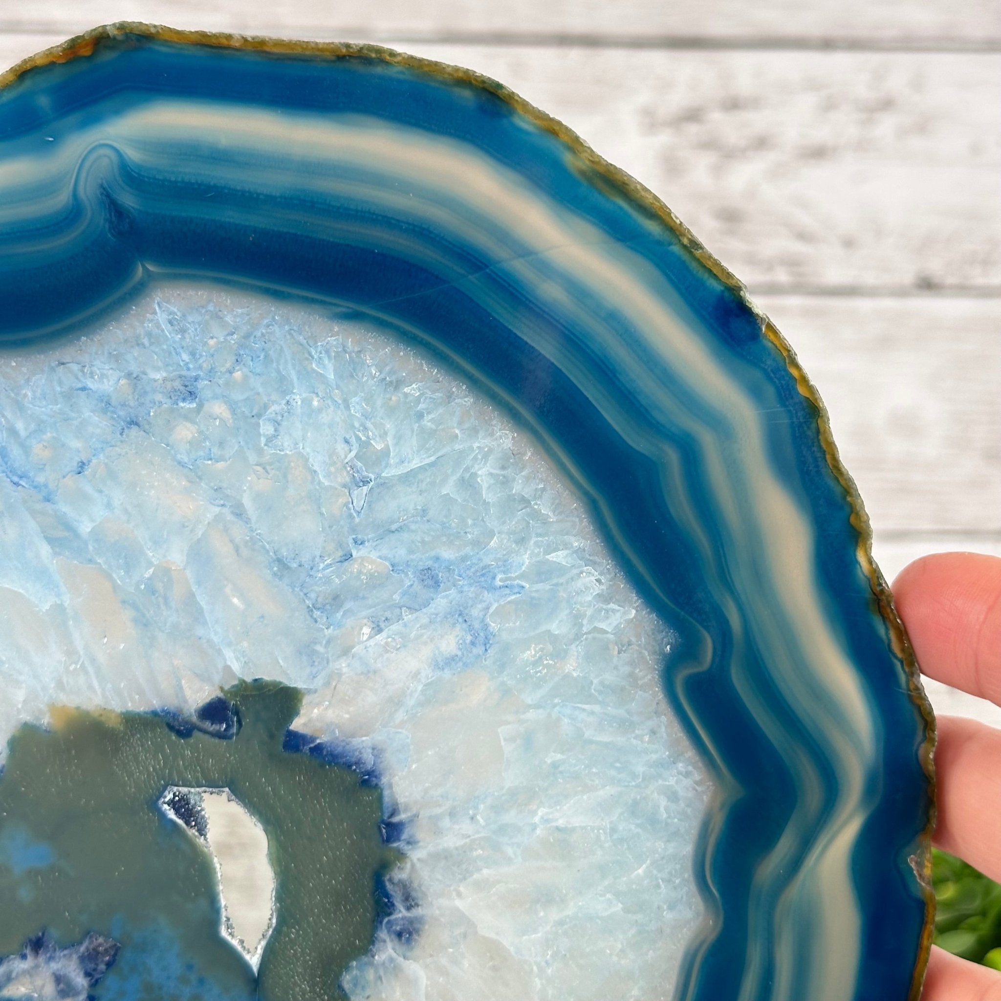 Brazilian Blue Agate Slice on a Metal Stand, 11.6" Tall #5055-0135 - Brazil GemsBrazil GemsBrazilian Blue Agate Slice on a Metal Stand, 11.6" Tall #5055-0135Slices on Fixed Bases5055-0135
