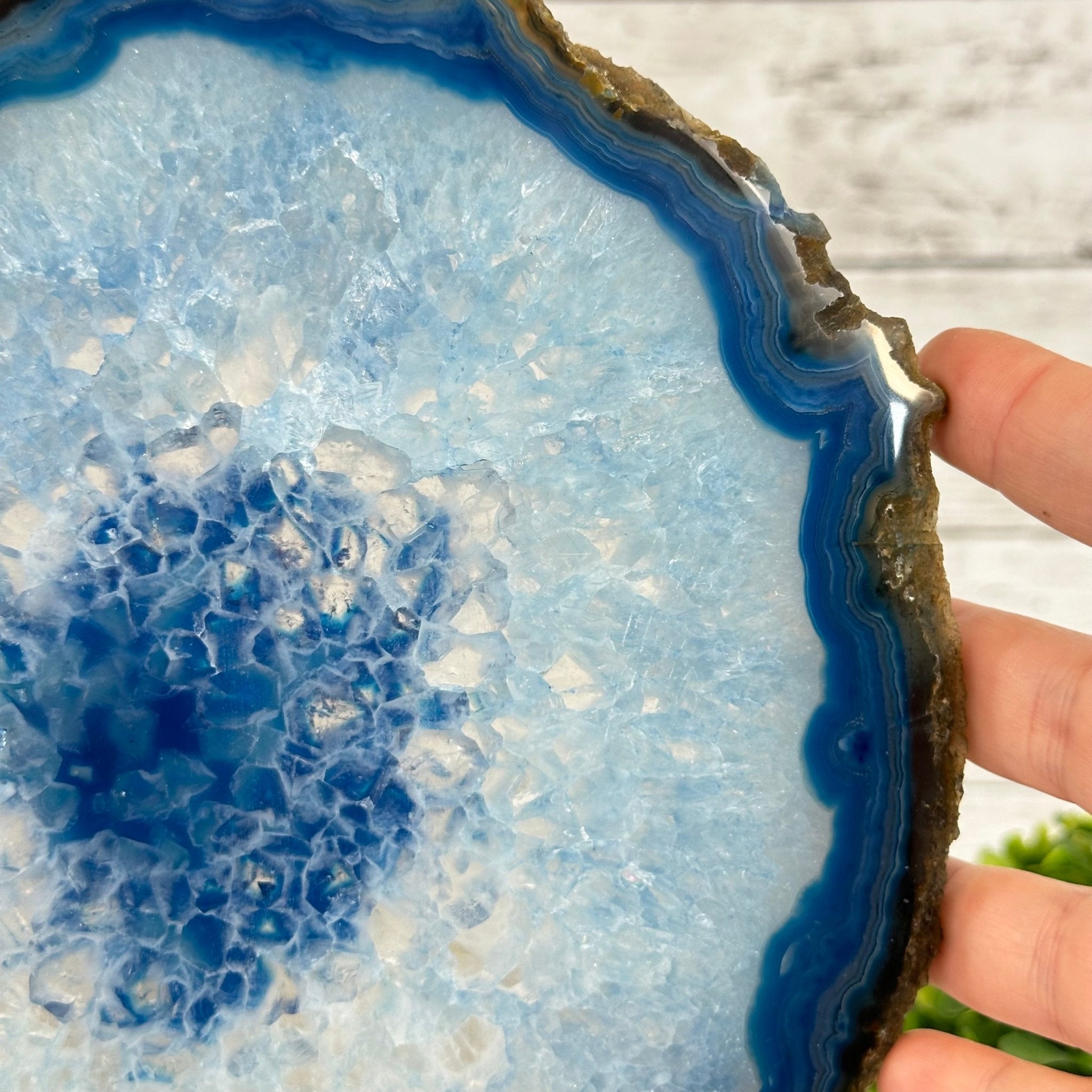 Brazilian Blue Agate Slice on a Metal Stand, 11.7" Tall #5055-0136 - Brazil GemsBrazil GemsBrazilian Blue Agate Slice on a Metal Stand, 11.7" Tall #5055-0136Slices on Fixed Bases5055-0136
