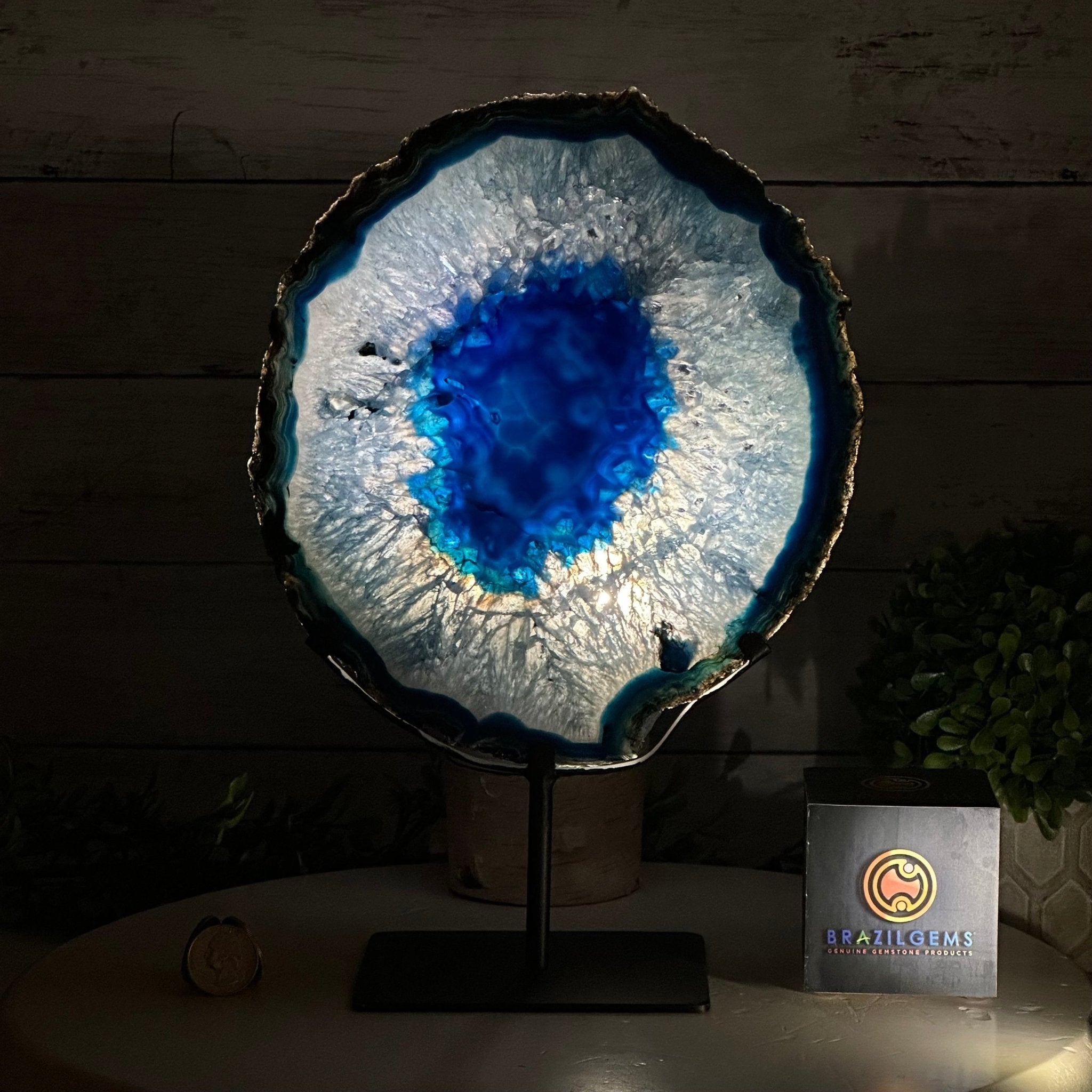 Brazilian Blue Agate Slice on a Metal Stand, 12" Tall #5055-0137 - Brazil GemsBrazil GemsBrazilian Blue Agate Slice on a Metal Stand, 12" Tall #5055-0137Slices on Fixed Bases5055-0137