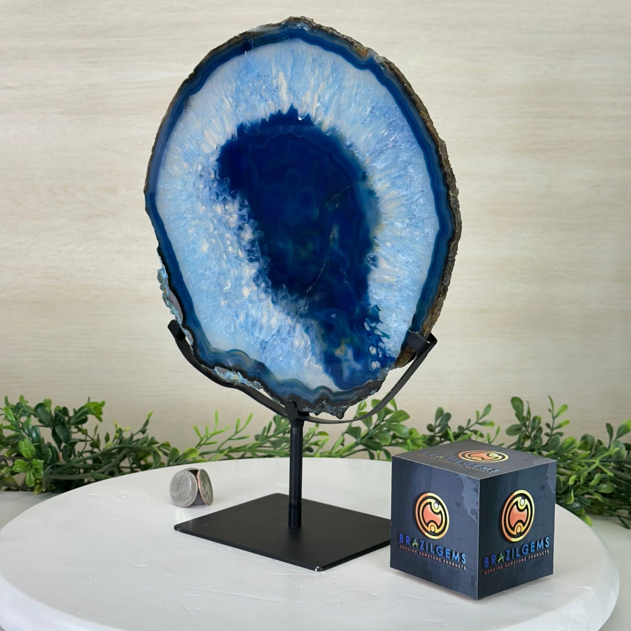 Brazilian Blue Agate Slice on a Metal Stand, 12.2" Tall #5055 - 0157 - Brazil GemsBrazil GemsBrazilian Blue Agate Slice on a Metal Stand, 12.2" Tall #5055 - 0157Slices on Fixed Bases5055 - 0157