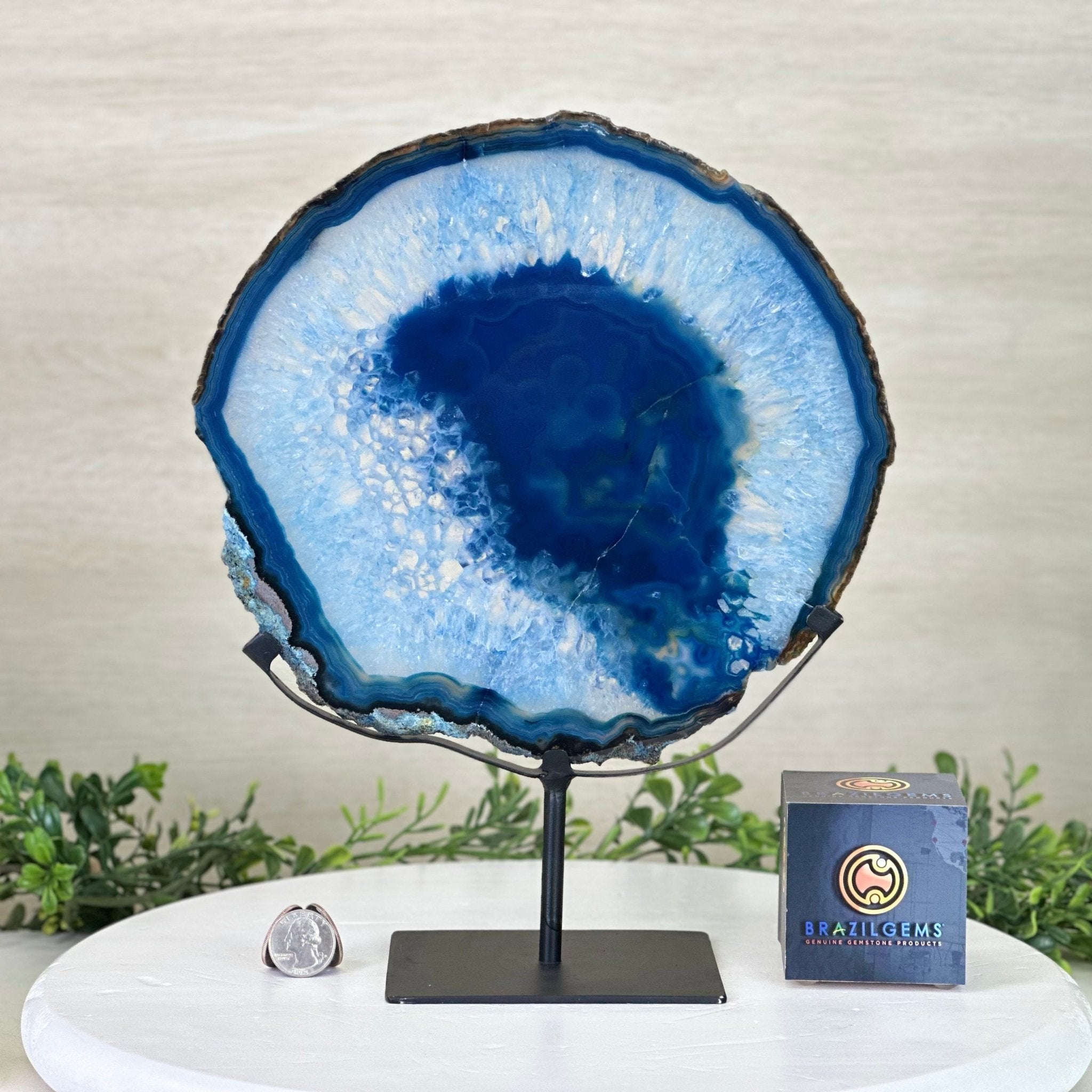 Blue Brazilian Agate slice on metal base #5055-0157 by Brazil Gems®