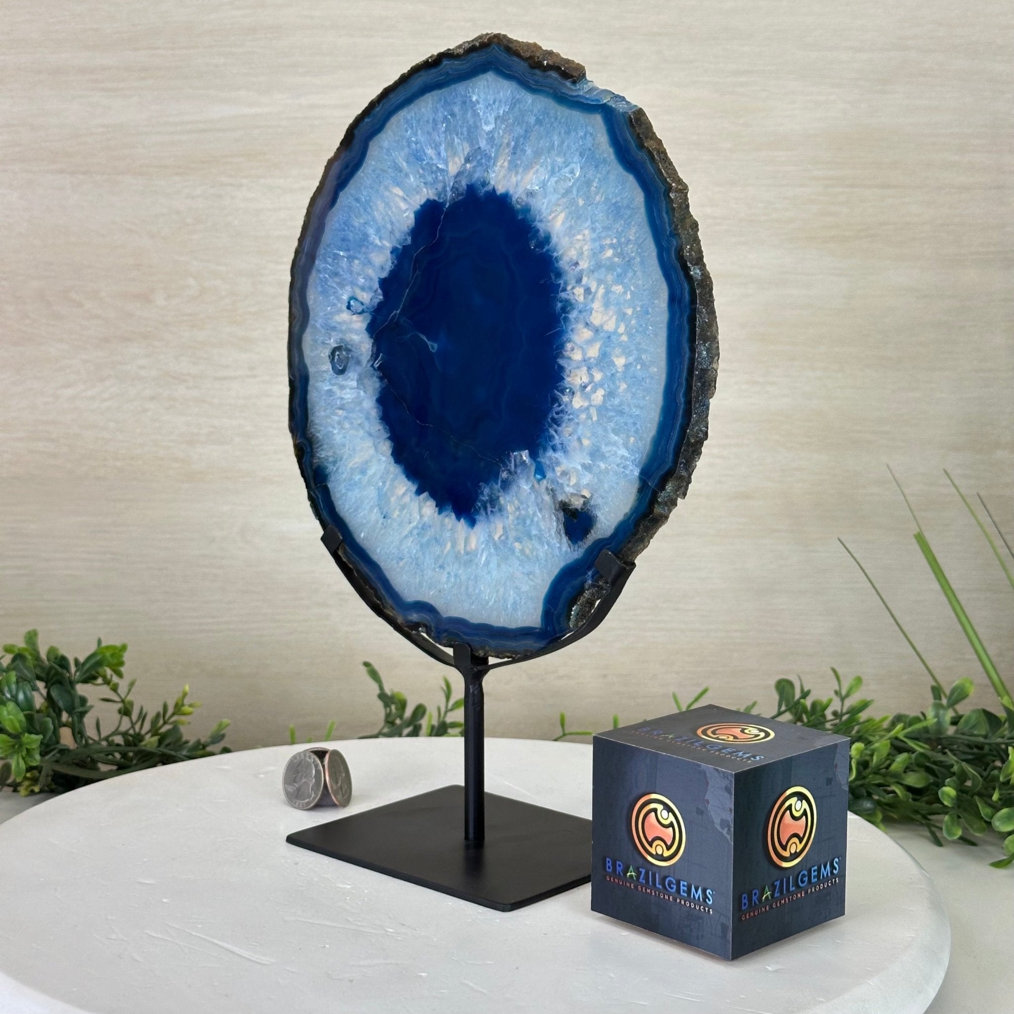 Brazilian Blue Agate Slice on a Metal Stand, 12.3" Tall #5055 - 0146 - Brazil GemsBrazil GemsBrazilian Blue Agate Slice on a Metal Stand, 12.3" Tall #5055 - 0146Slices on Fixed Bases5055 - 0146