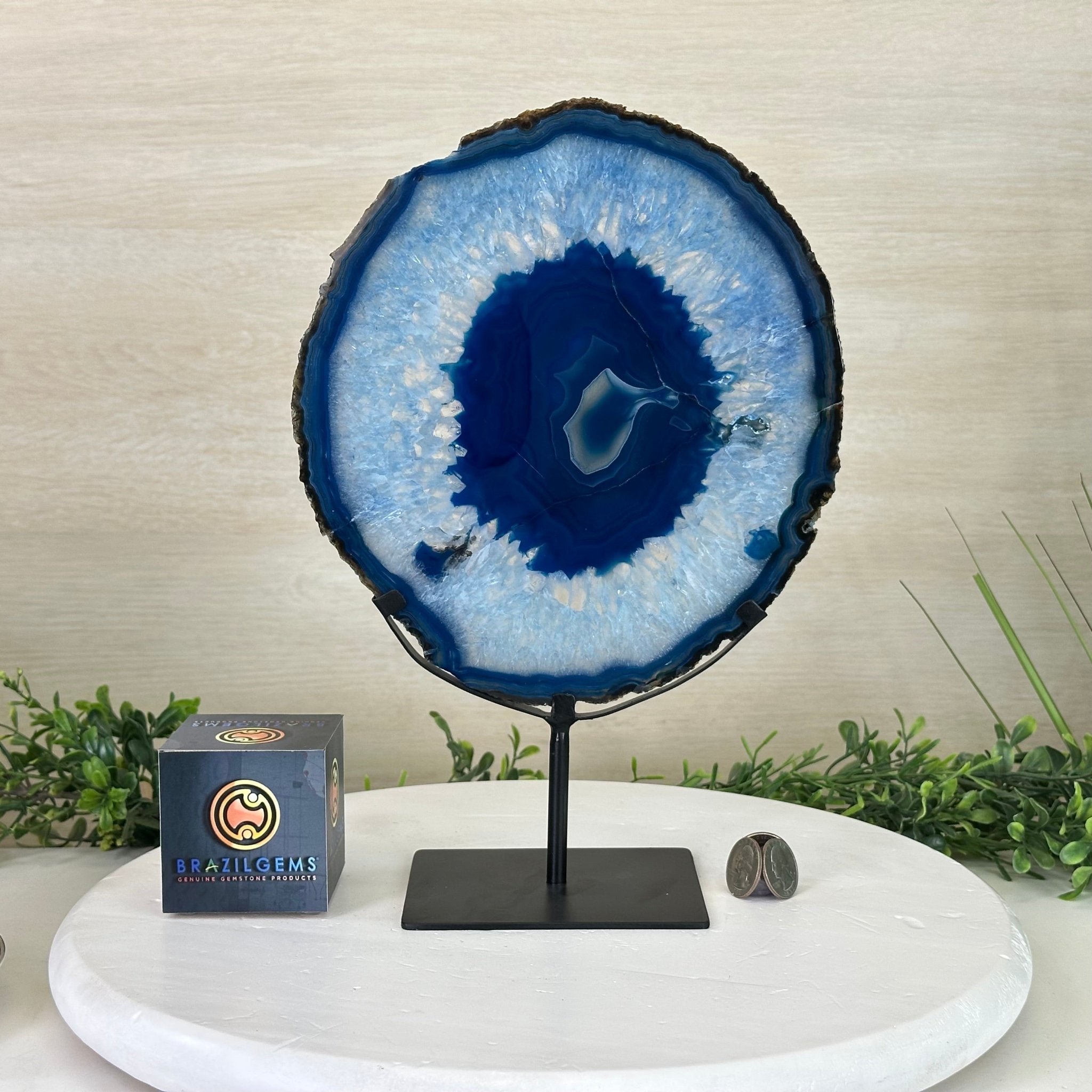 Brazilian Blue Agate Slice on a Metal Stand, 12.3" Tall #5055 - 0146 - Brazil GemsBrazil GemsBrazilian Blue Agate Slice on a Metal Stand, 12.3" Tall #5055 - 0146Slices on Fixed Bases5055 - 0146