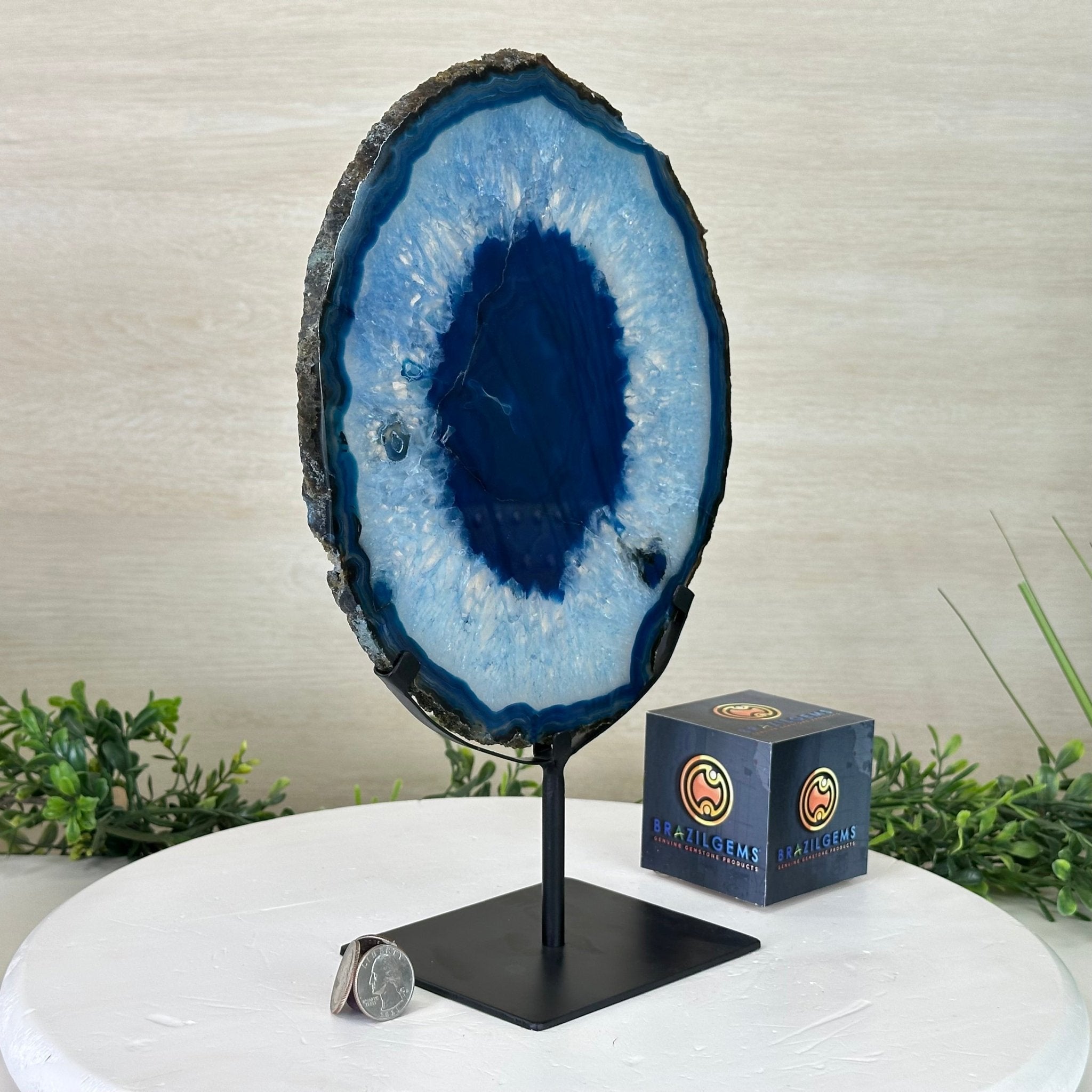 Brazilian Blue Agate Slice on a Metal Stand, 12.3" Tall #5055 - 0146 - Brazil GemsBrazil GemsBrazilian Blue Agate Slice on a Metal Stand, 12.3" Tall #5055 - 0146Slices on Fixed Bases5055 - 0146