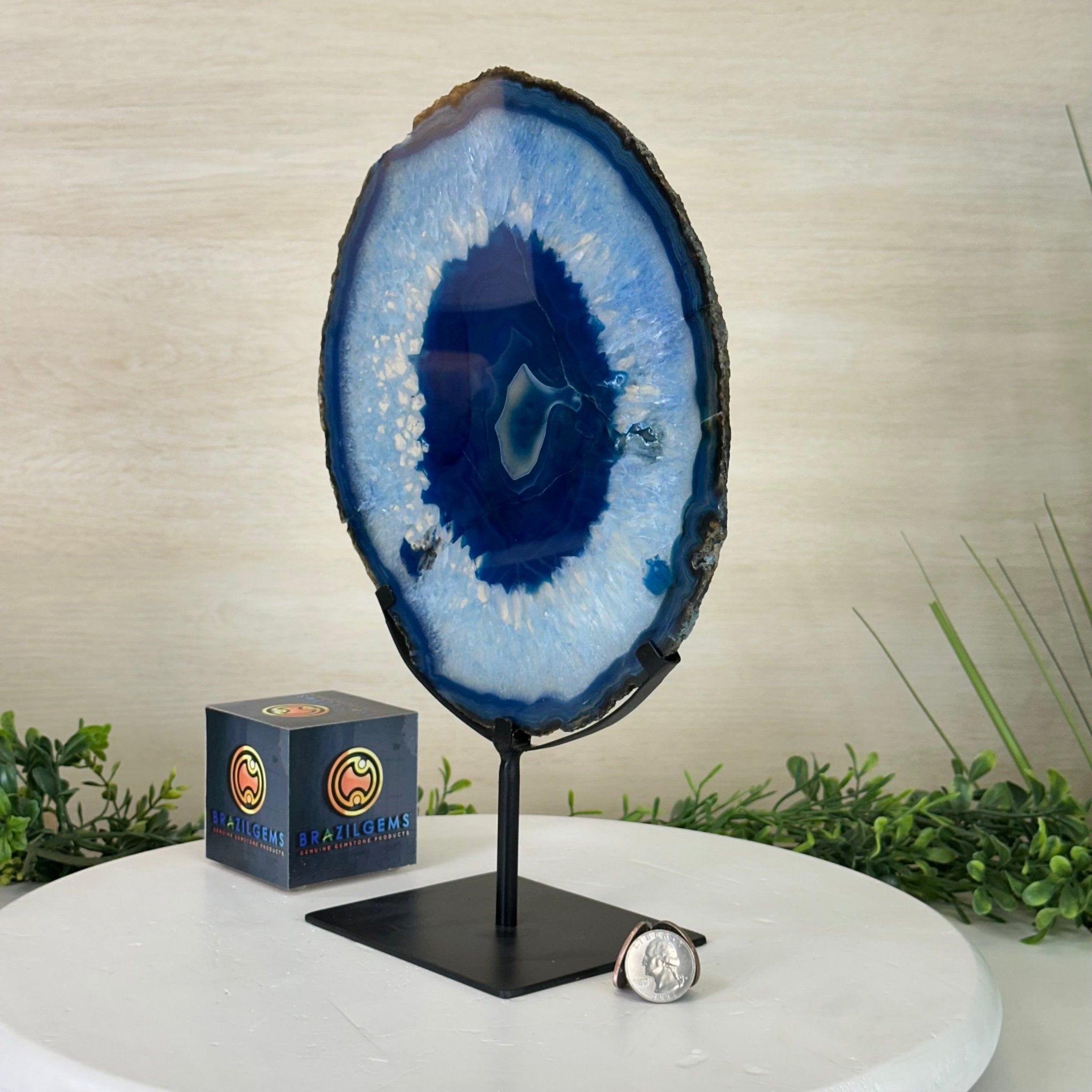 Brazilian Blue Agate Slice on a Metal Stand, 12.3" Tall #5055 - 0146 - Brazil GemsBrazil GemsBrazilian Blue Agate Slice on a Metal Stand, 12.3" Tall #5055 - 0146Slices on Fixed Bases5055 - 0146