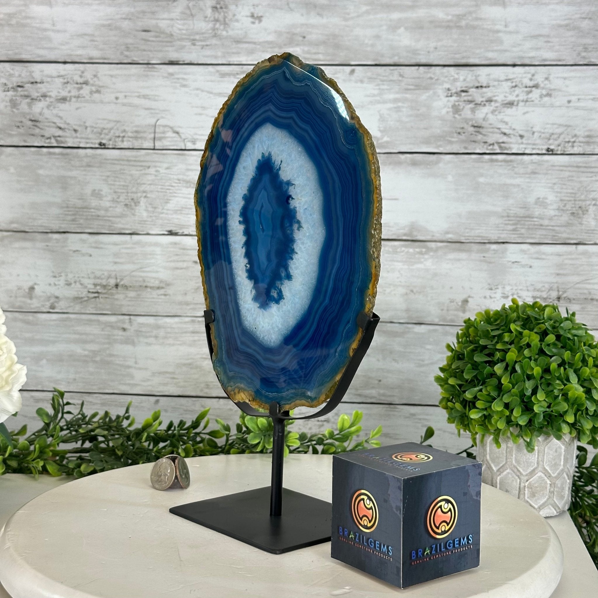 Brazilian Blue Agate Slice on a Metal Stand, 12.5" Tall #5055-0139 - Brazil GemsBrazil GemsBrazilian Blue Agate Slice on a Metal Stand, 12.5" Tall #5055-0139Slices on Fixed Bases5055-0139