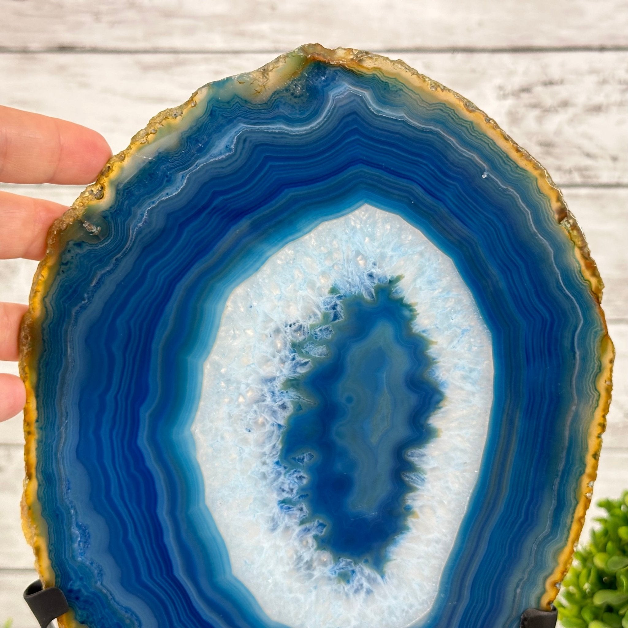 Brazilian Blue Agate Slice on a Metal Stand, 12.5" Tall #5055-0139 - Brazil GemsBrazil GemsBrazilian Blue Agate Slice on a Metal Stand, 12.5" Tall #5055-0139Slices on Fixed Bases5055-0139