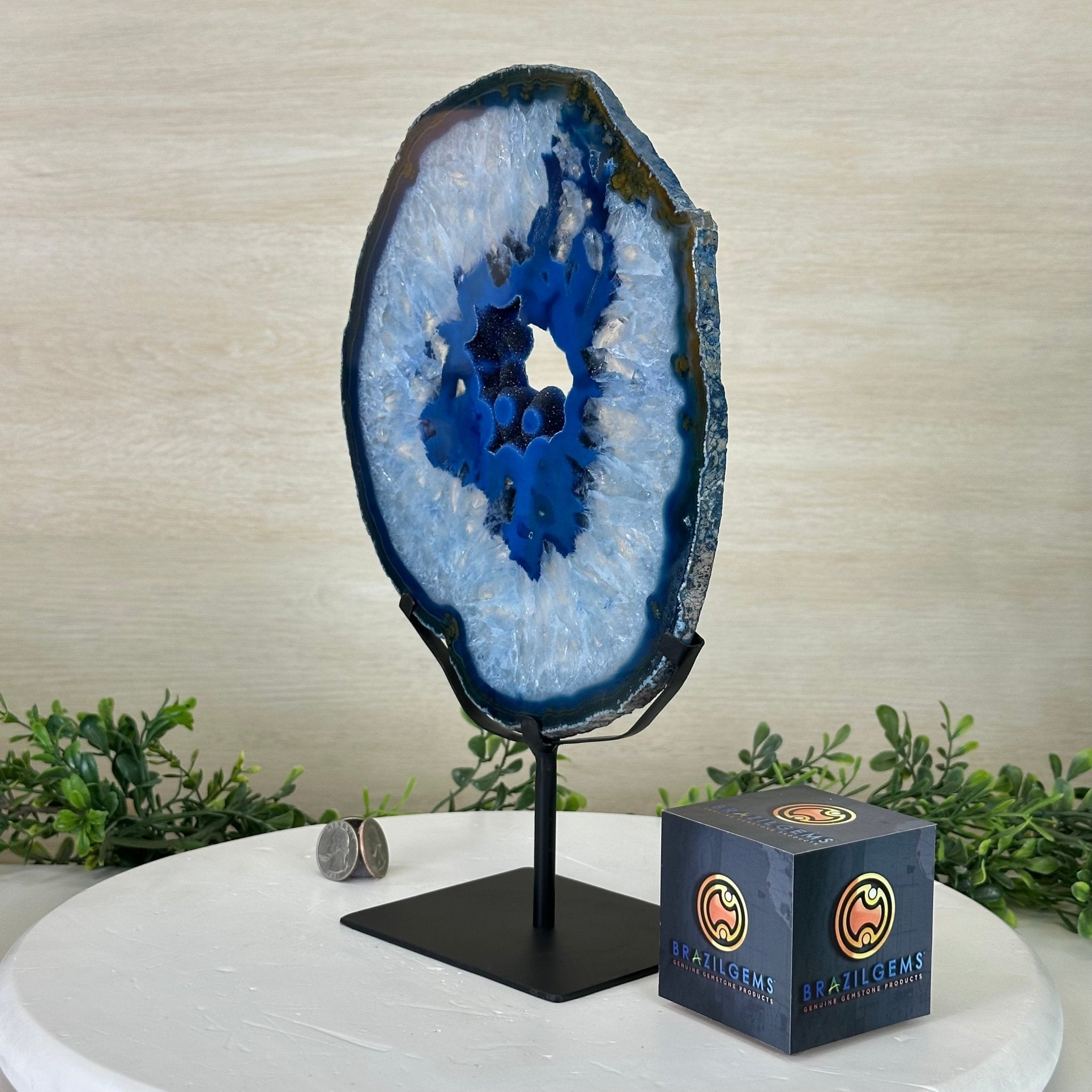 Brazilian Blue Agate Slice on a Metal Stand, 12.5" Tall #5055 - 0152 - Brazil GemsBrazil GemsBrazilian Blue Agate Slice on a Metal Stand, 12.5" Tall #5055 - 0152Slices on Fixed Bases5055 - 0152