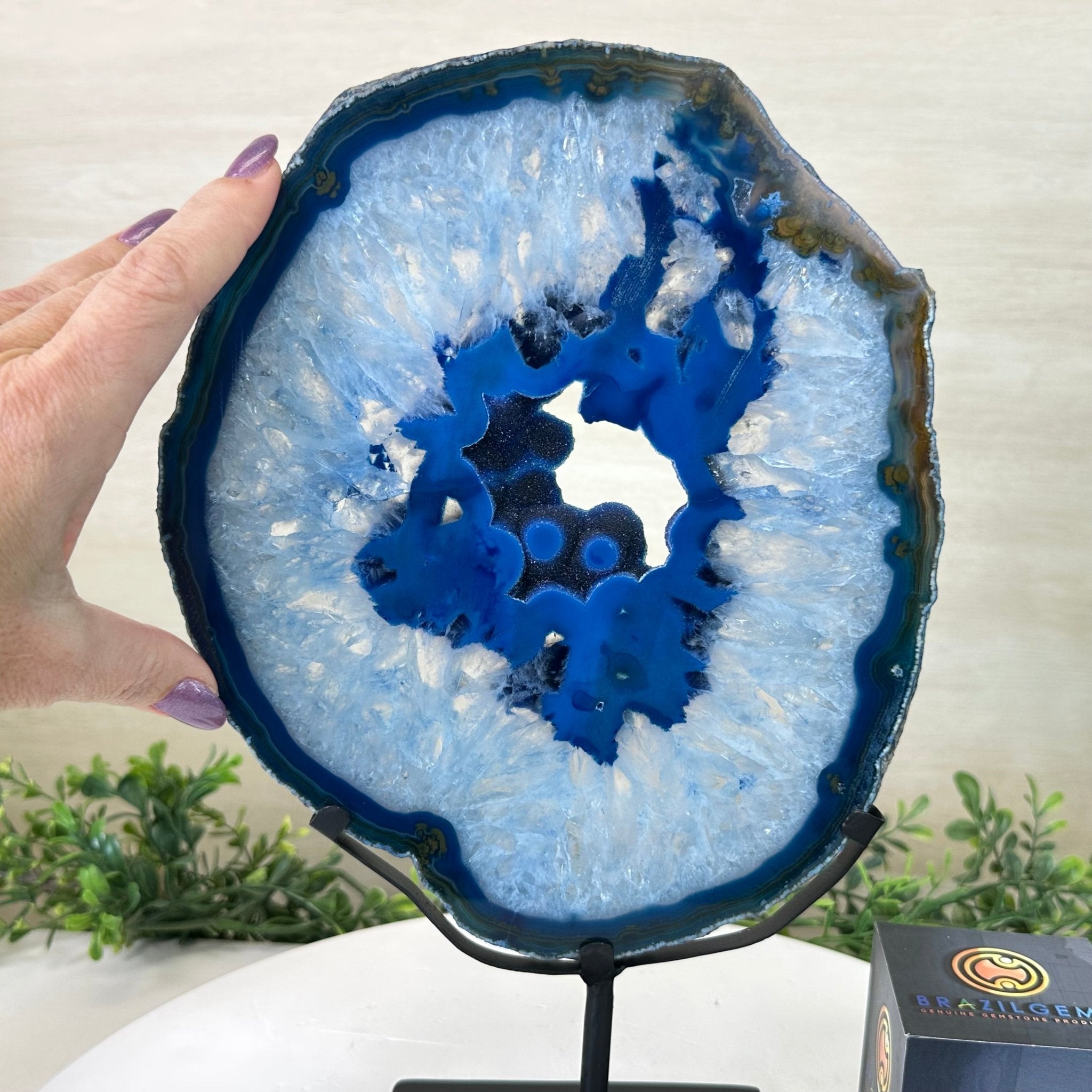 Brazilian Blue Agate Slice on a Metal Stand, 12.5" Tall #5055 - 0152 - Brazil GemsBrazil GemsBrazilian Blue Agate Slice on a Metal Stand, 12.5" Tall #5055 - 0152Slices on Fixed Bases5055 - 0152