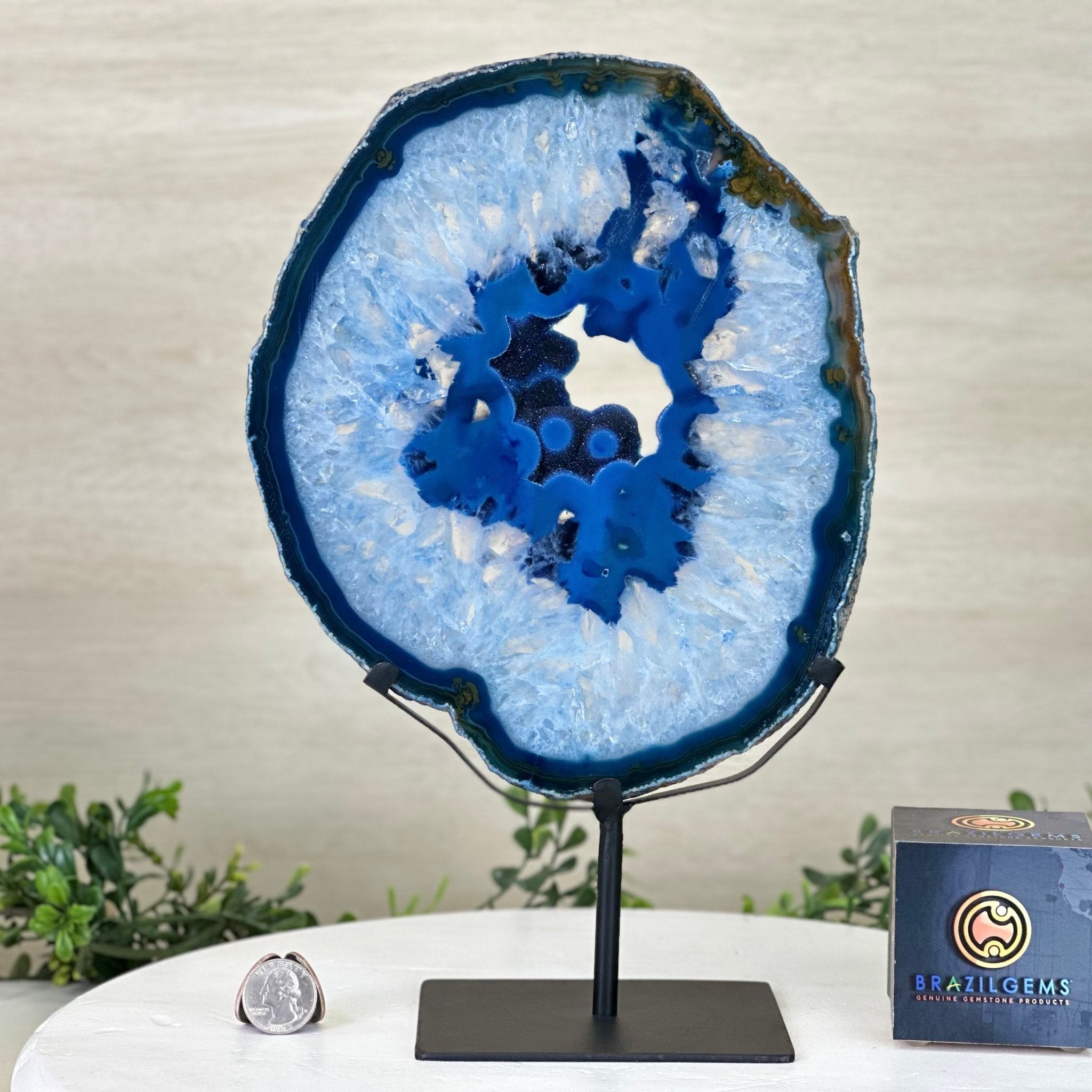 Brazilian Blue Agate Slice on a Metal Stand, 12.5" Tall #5055 - 0152 - Brazil GemsBrazil GemsBrazilian Blue Agate Slice on a Metal Stand, 12.5" Tall #5055 - 0152Slices on Fixed Bases5055 - 0152