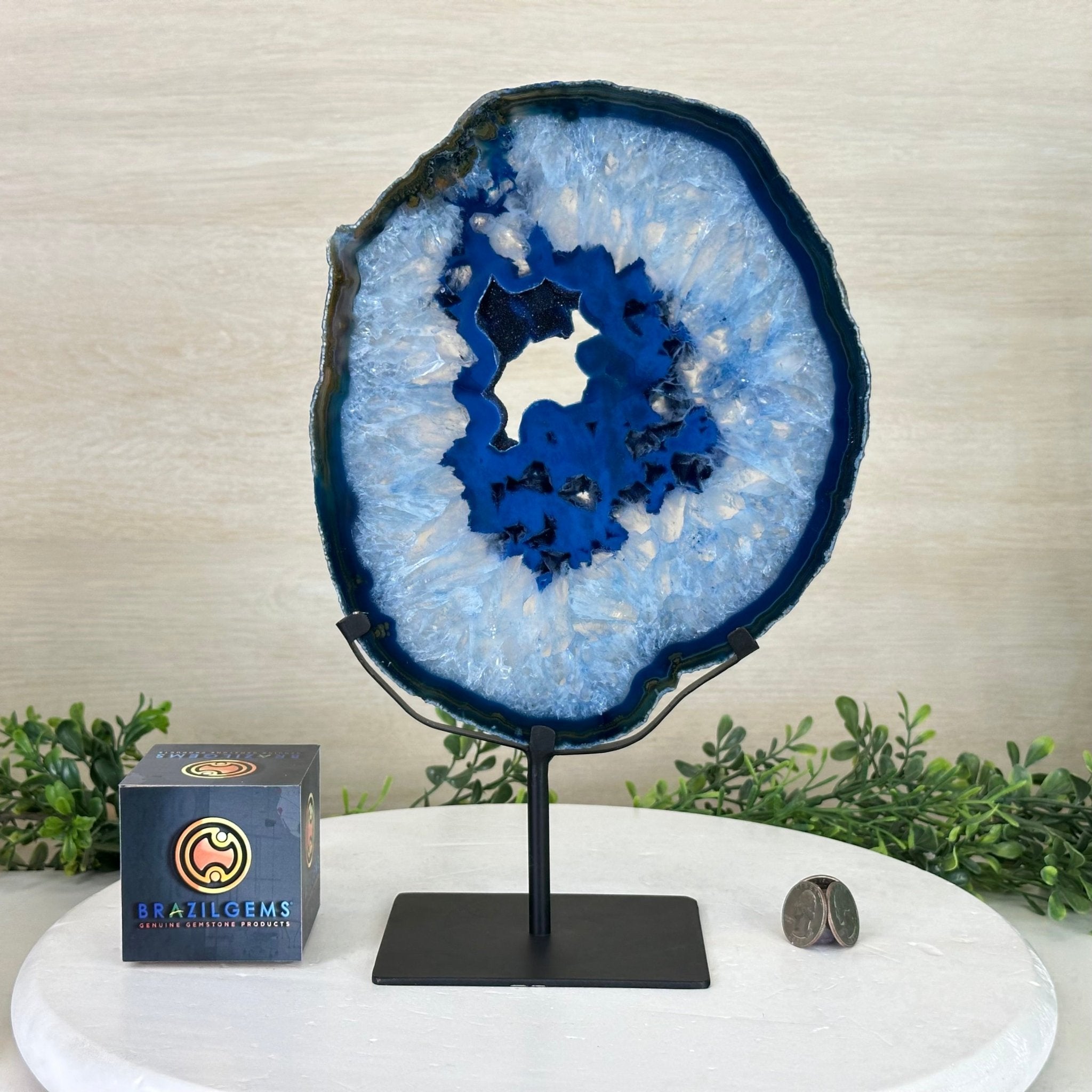 Brazilian Blue Agate Slice on a Metal Stand, 12.5" Tall #5055 - 0152 - Brazil GemsBrazil GemsBrazilian Blue Agate Slice on a Metal Stand, 12.5" Tall #5055 - 0152Slices on Fixed Bases5055 - 0152