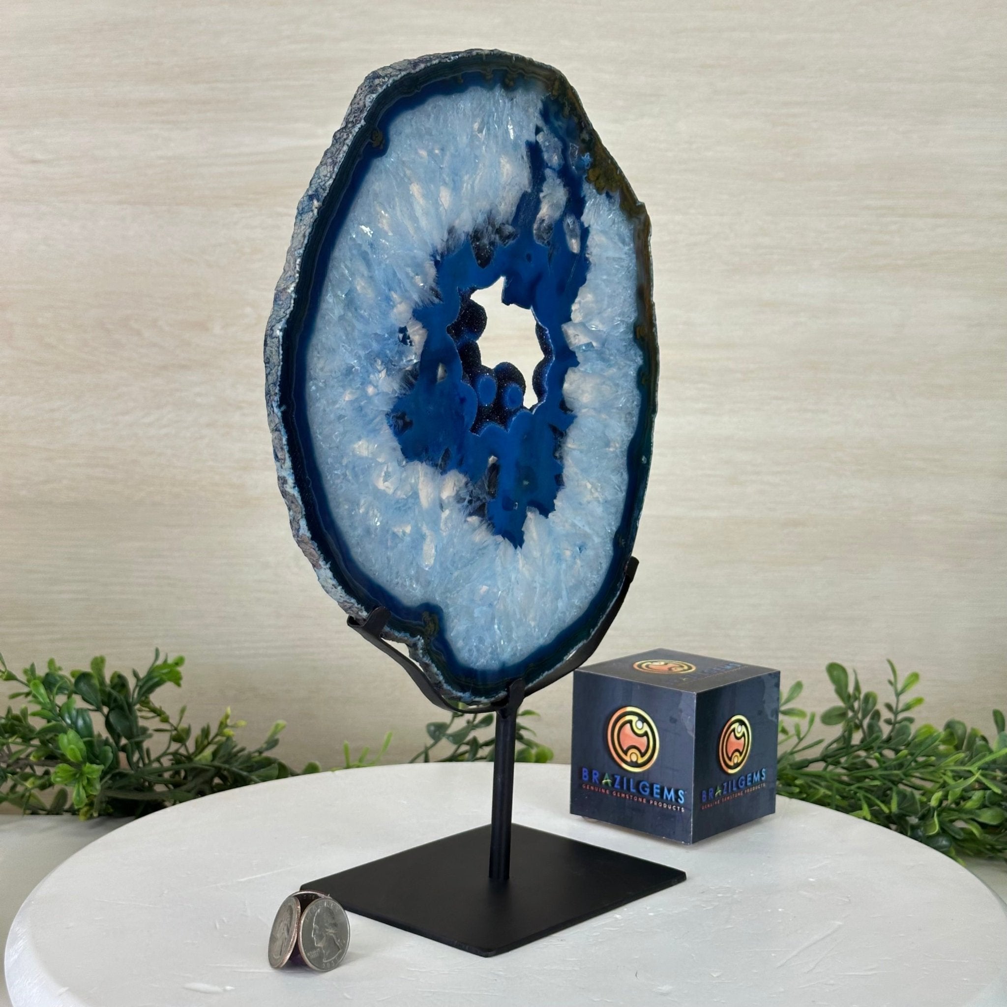 Brazilian Blue Agate Slice on a Metal Stand, 12.5" Tall #5055 - 0152 - Brazil GemsBrazil GemsBrazilian Blue Agate Slice on a Metal Stand, 12.5" Tall #5055 - 0152Slices on Fixed Bases5055 - 0152