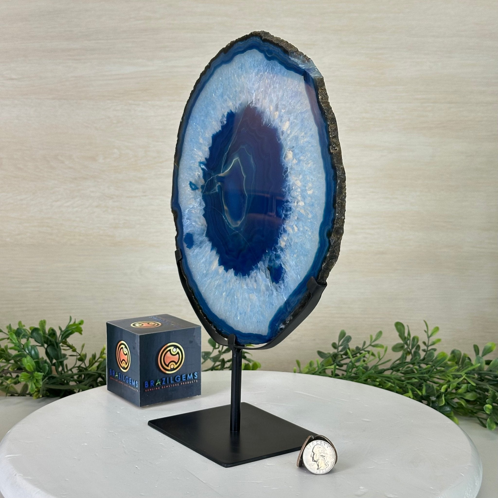 Brazilian Blue Agate Slice on a Metal Stand, 12.5" Tall #5055 - 0153 - Brazil GemsBrazil GemsBrazilian Blue Agate Slice on a Metal Stand, 12.5" Tall #5055 - 0153Slices on Fixed Bases5055 - 0153