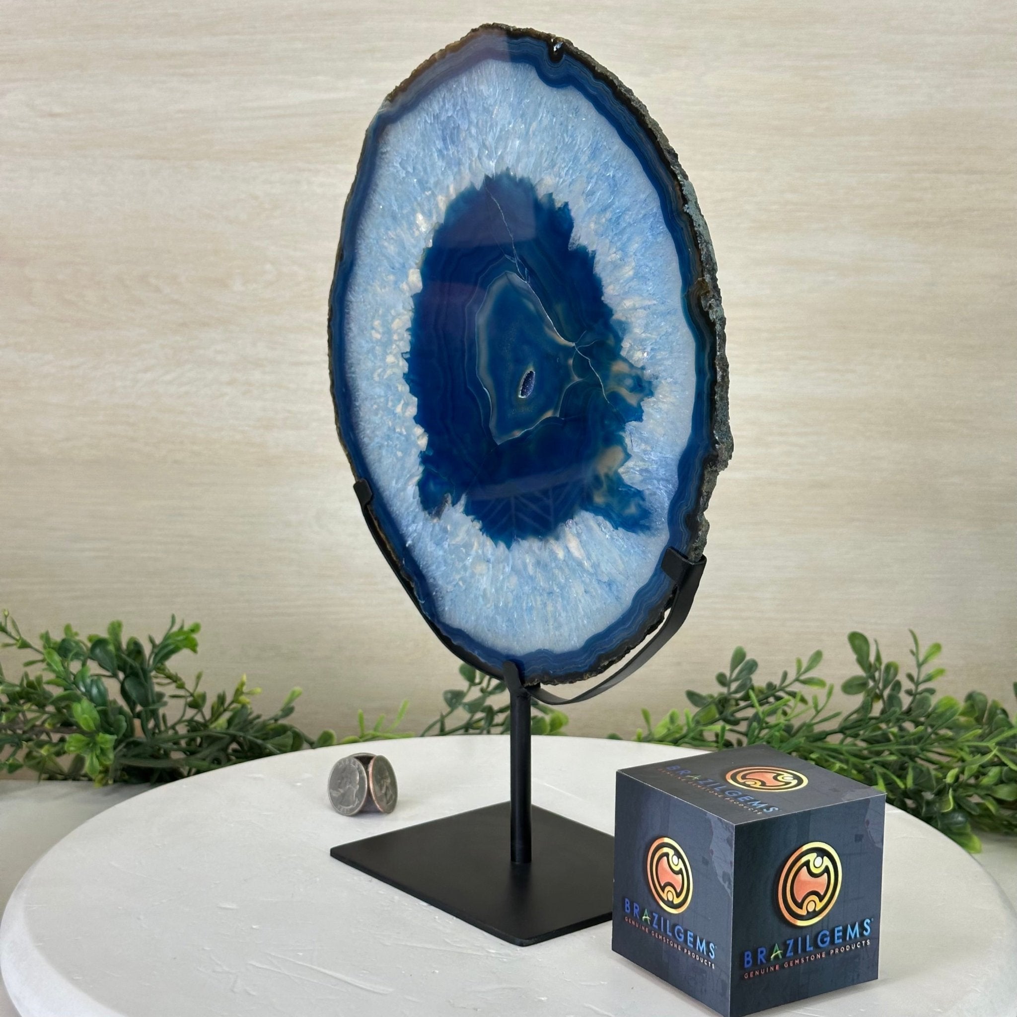 Brazilian Blue Agate Slice on a Metal Stand, 12.5" Tall #5055 - 0153 - Brazil GemsBrazil GemsBrazilian Blue Agate Slice on a Metal Stand, 12.5" Tall #5055 - 0153Slices on Fixed Bases5055 - 0153