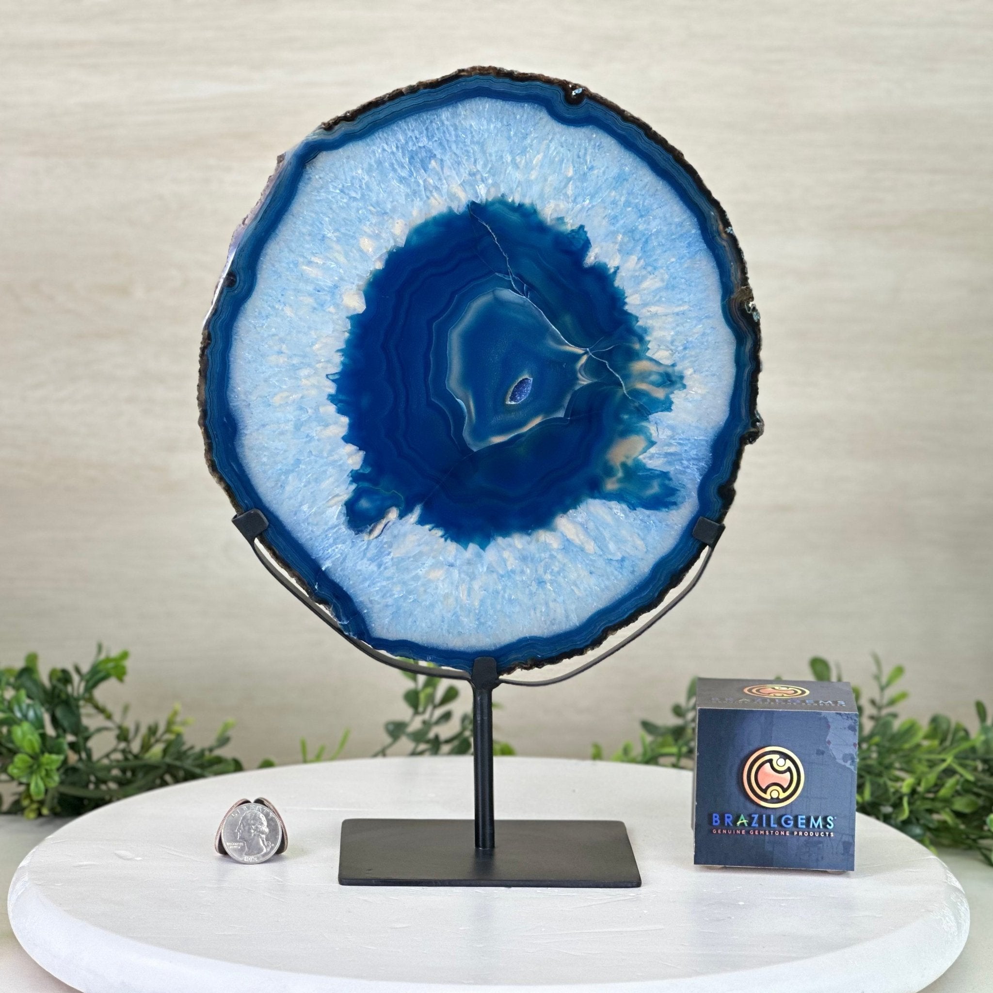 Brazilian Blue Agate Slice on a Metal Stand, 12.5" Tall #5055 - 0153 - Brazil GemsBrazil GemsBrazilian Blue Agate Slice on a Metal Stand, 12.5" Tall #5055 - 0153Slices on Fixed Bases5055 - 0153