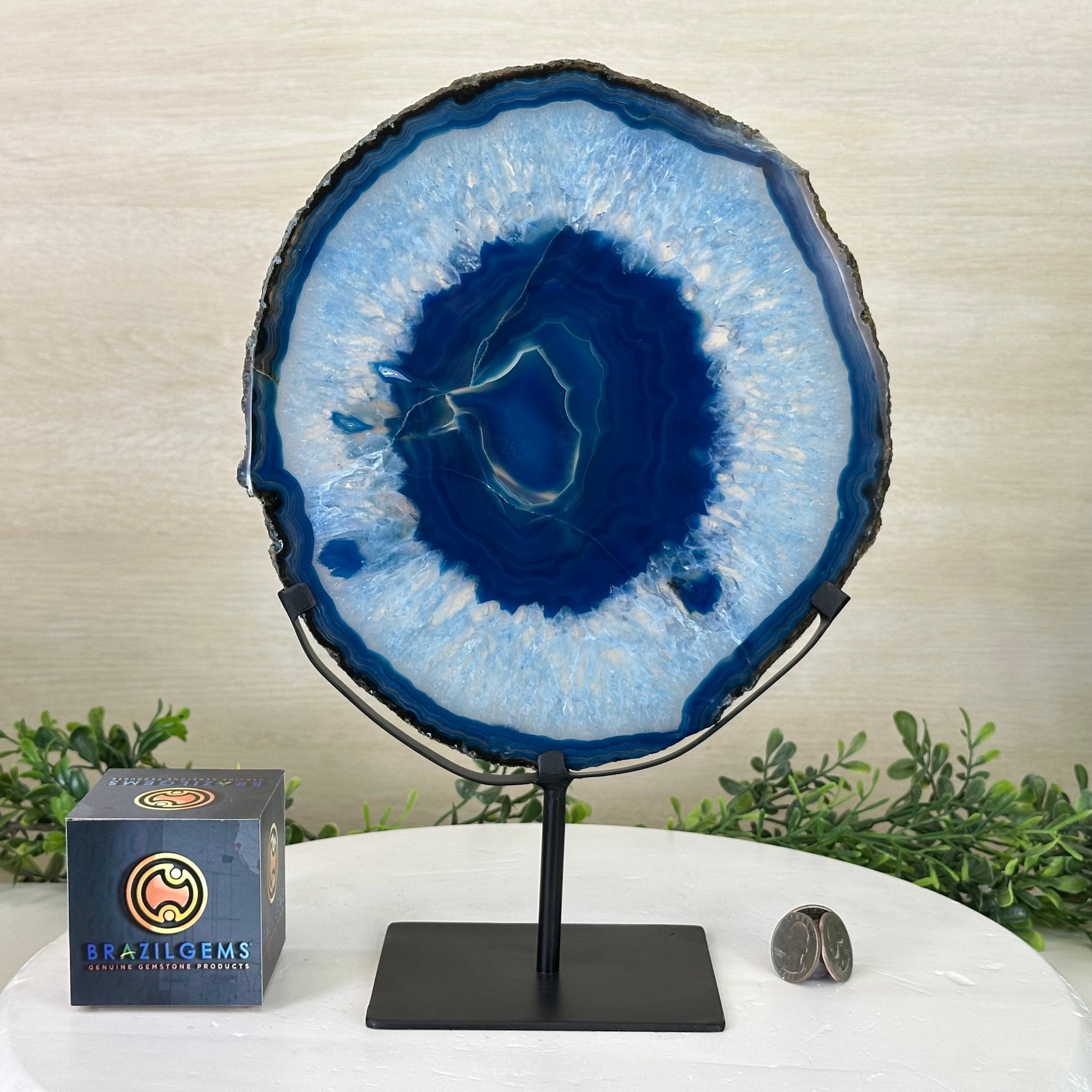 Brazilian Blue Agate Slice on a Metal Stand, 12.5" Tall #5055 - 0153 - Brazil GemsBrazil GemsBrazilian Blue Agate Slice on a Metal Stand, 12.5" Tall #5055 - 0153Slices on Fixed Bases5055 - 0153