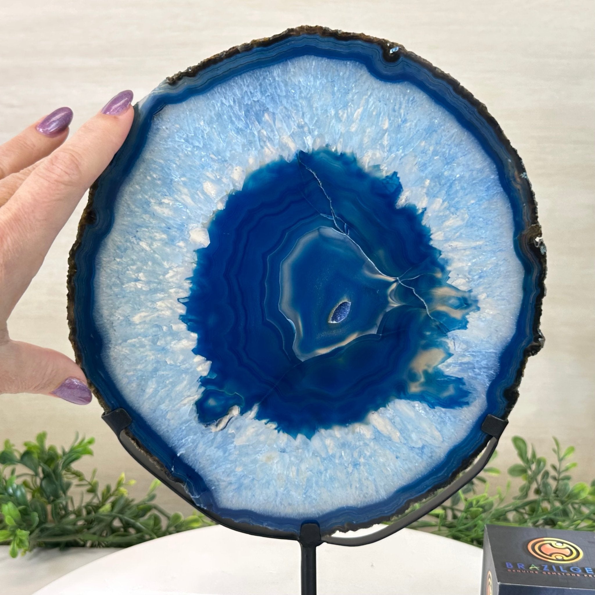 Brazilian Blue Agate Slice on a Metal Stand, 12.5" Tall #5055 - 0153 - Brazil GemsBrazil GemsBrazilian Blue Agate Slice on a Metal Stand, 12.5" Tall #5055 - 0153Slices on Fixed Bases5055 - 0153