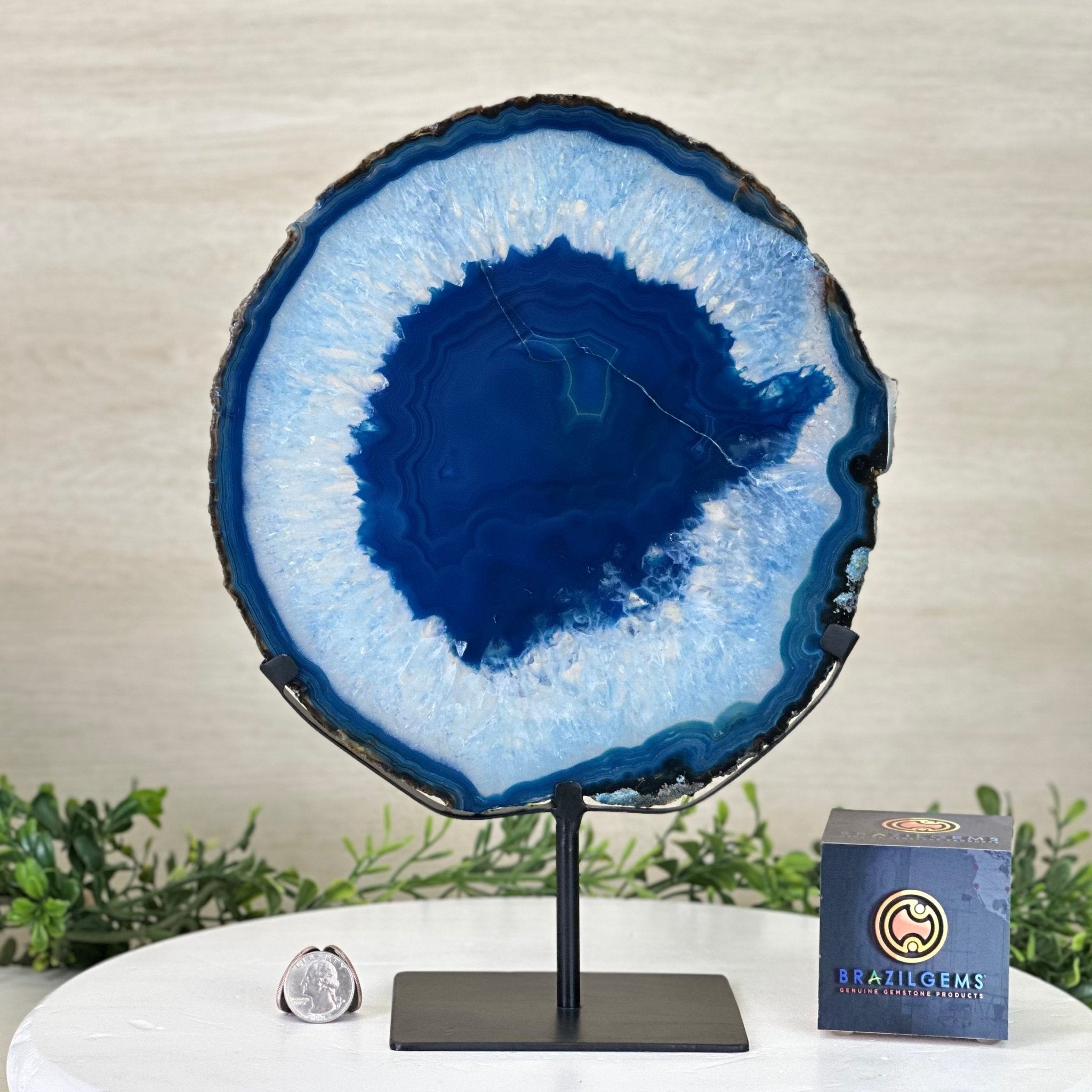 Brazilian Blue Agate Slice on a Metal Stand, 12.5" Tall #5055 - 0156 - Brazil GemsBrazil GemsBrazilian Blue Agate Slice on a Metal Stand, 12.5" Tall #5055 - 0156Slices on Fixed Bases5055 - 0156