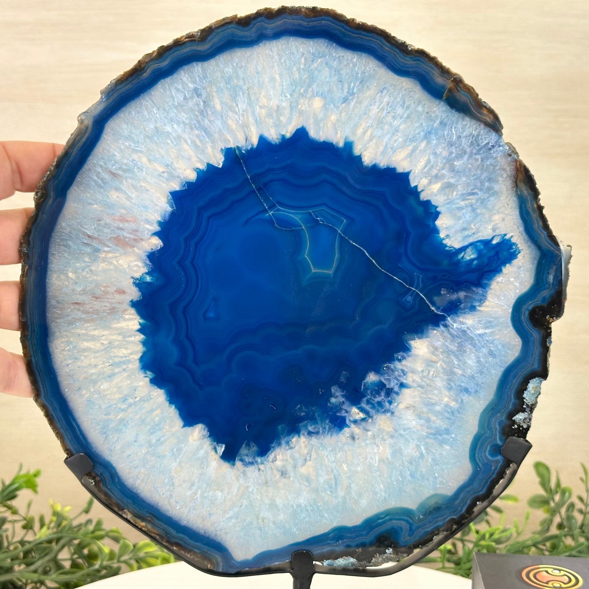 Brazilian Blue Agate Slice on a Metal Stand, 12.5" Tall #5055 - 0156 - Brazil GemsBrazil GemsBrazilian Blue Agate Slice on a Metal Stand, 12.5" Tall #5055 - 0156Slices on Fixed Bases5055 - 0156