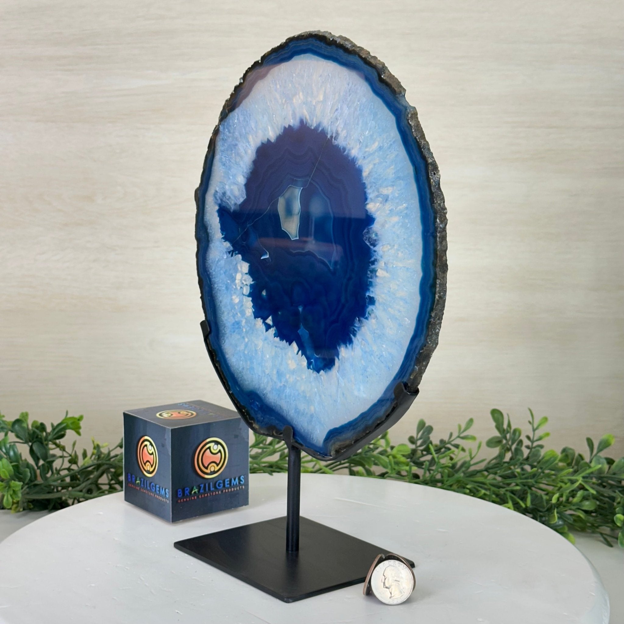 Brazilian Blue Agate Slice on a Metal Stand, 12.5" Tall #5055 - 0156 - Brazil GemsBrazil GemsBrazilian Blue Agate Slice on a Metal Stand, 12.5" Tall #5055 - 0156Slices on Fixed Bases5055 - 0156