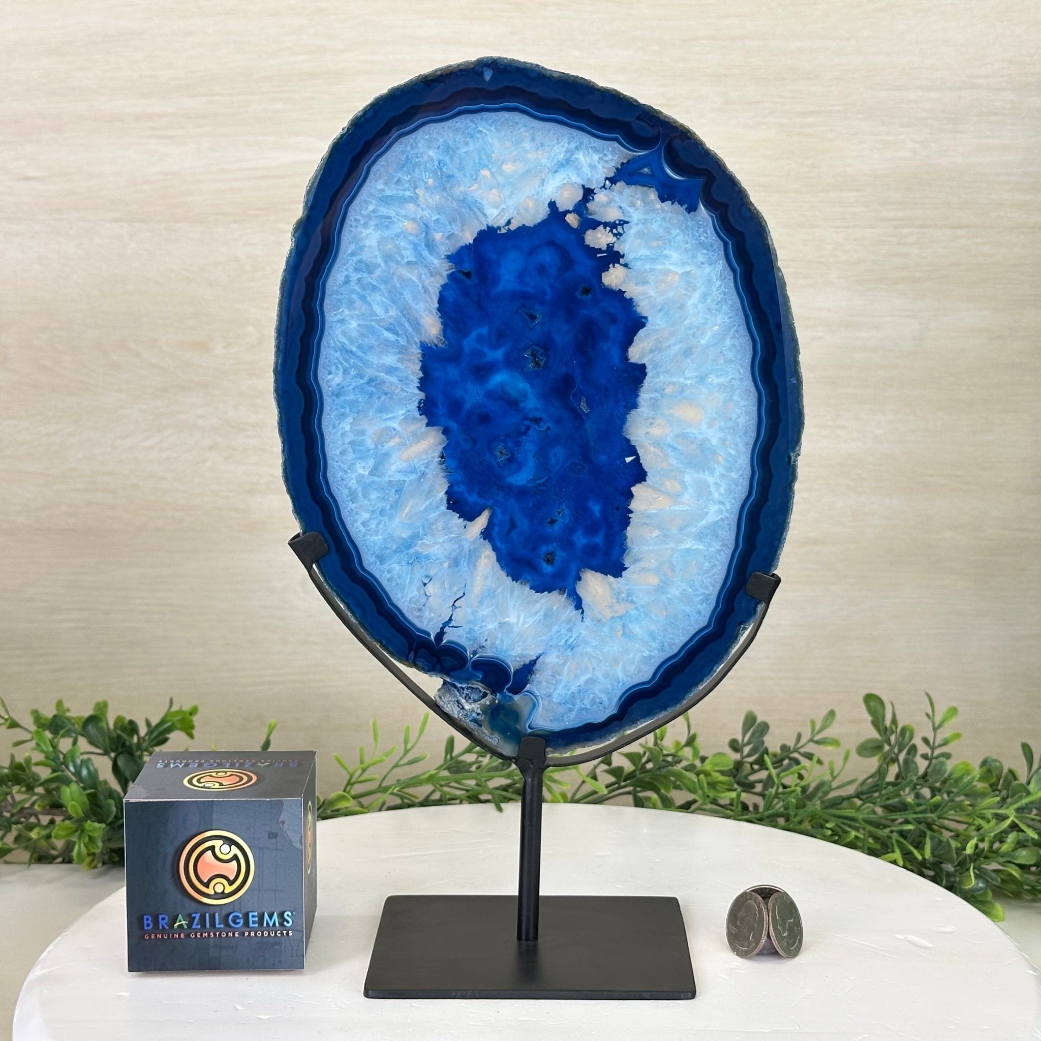 Brazilian Blue Agate Slice on a Metal Stand, 13" Tall #5055 - 0154 - Brazil GemsBrazil GemsBrazilian Blue Agate Slice on a Metal Stand, 13" Tall #5055 - 0154Slices on Fixed Bases5055 - 0154