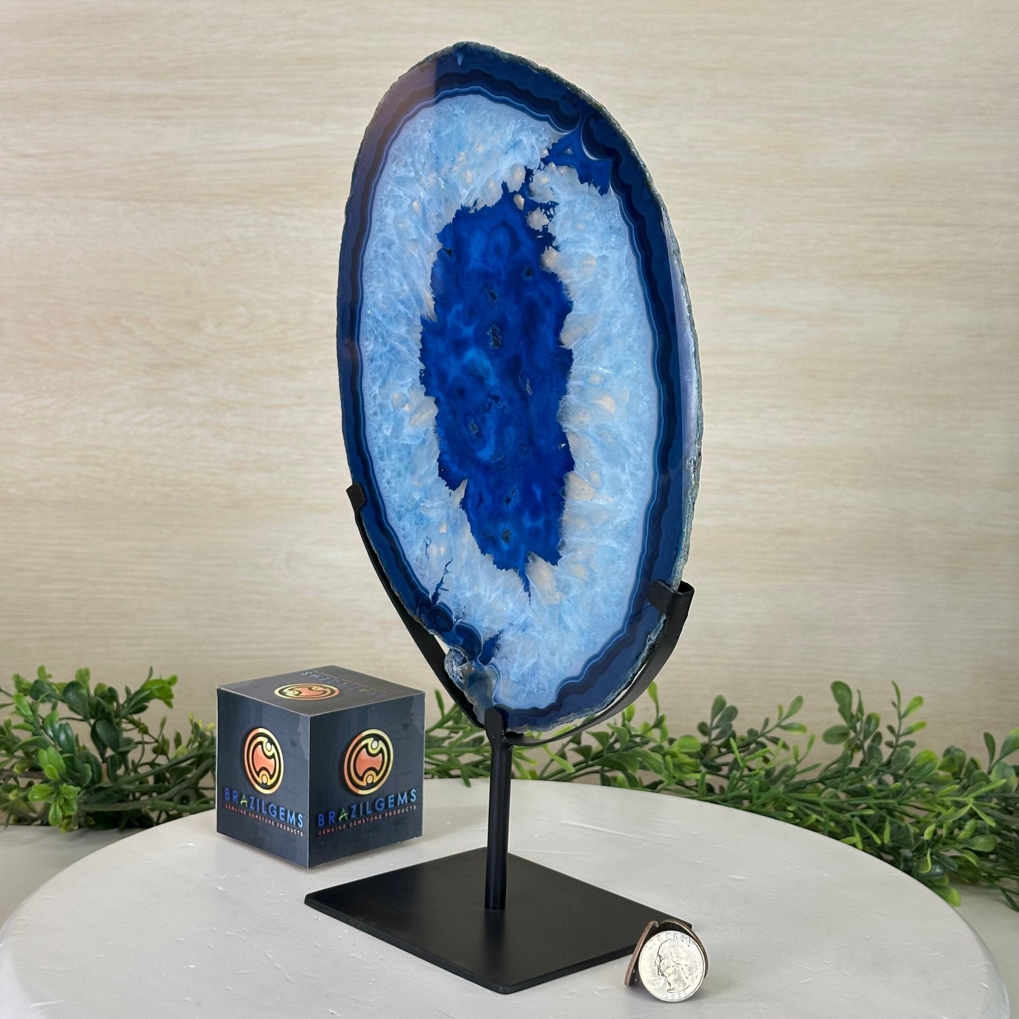 Brazilian Blue Agate Slice on a Metal Stand, 13" Tall #5055 - 0154 - Brazil GemsBrazil GemsBrazilian Blue Agate Slice on a Metal Stand, 13" Tall #5055 - 0154Slices on Fixed Bases5055 - 0154