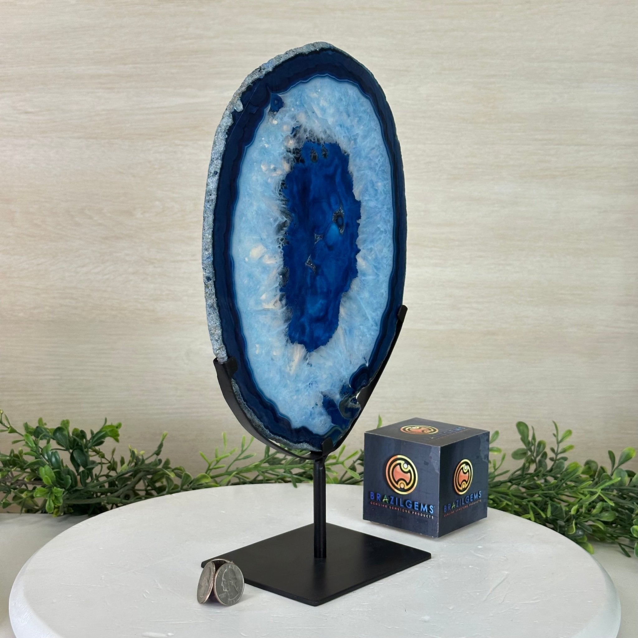 Brazilian Blue Agate Slice on a Metal Stand, 13" Tall #5055 - 0154 - Brazil GemsBrazil GemsBrazilian Blue Agate Slice on a Metal Stand, 13" Tall #5055 - 0154Slices on Fixed Bases5055 - 0154